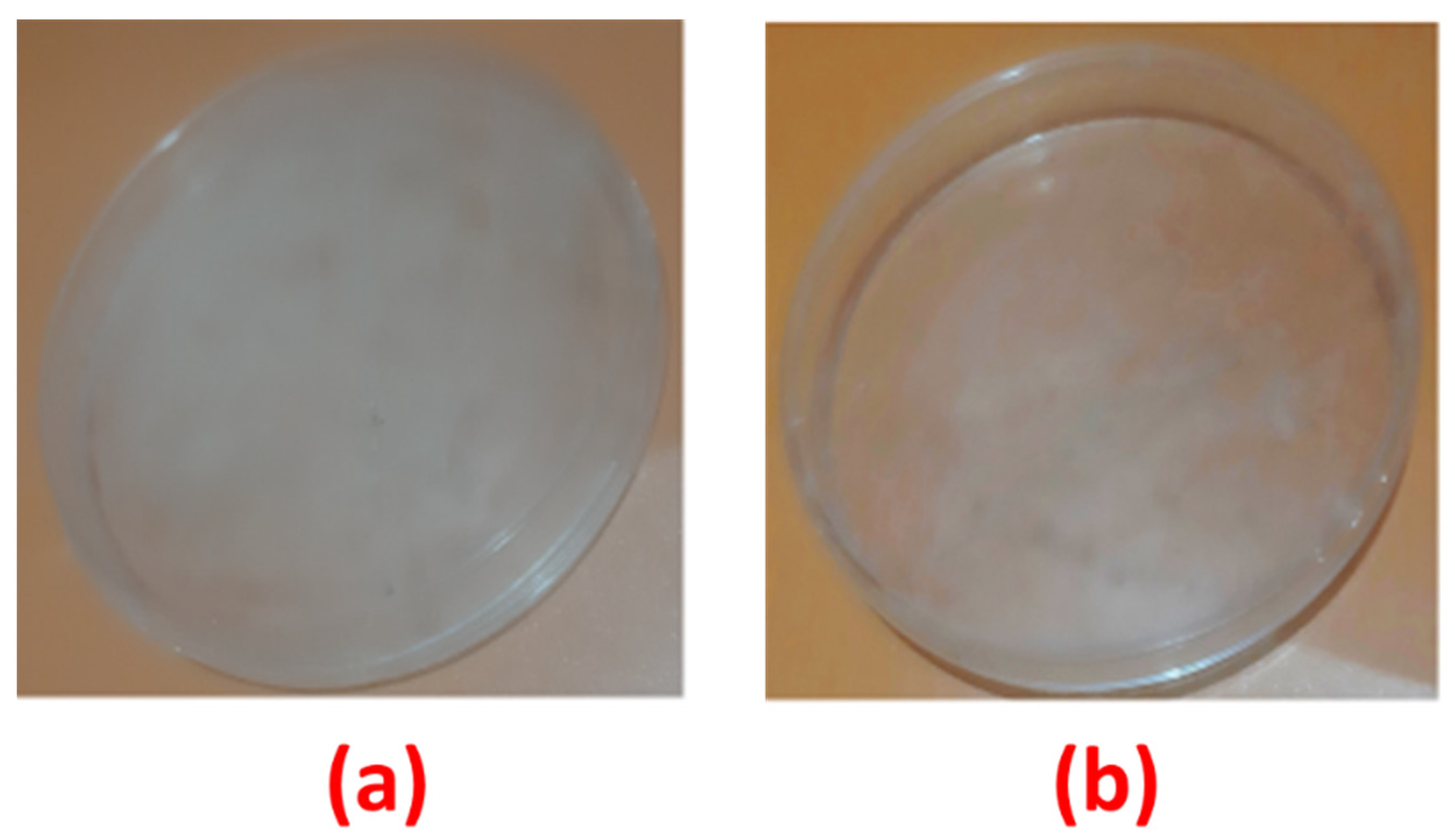 Nanomaterials 11 02076 g007