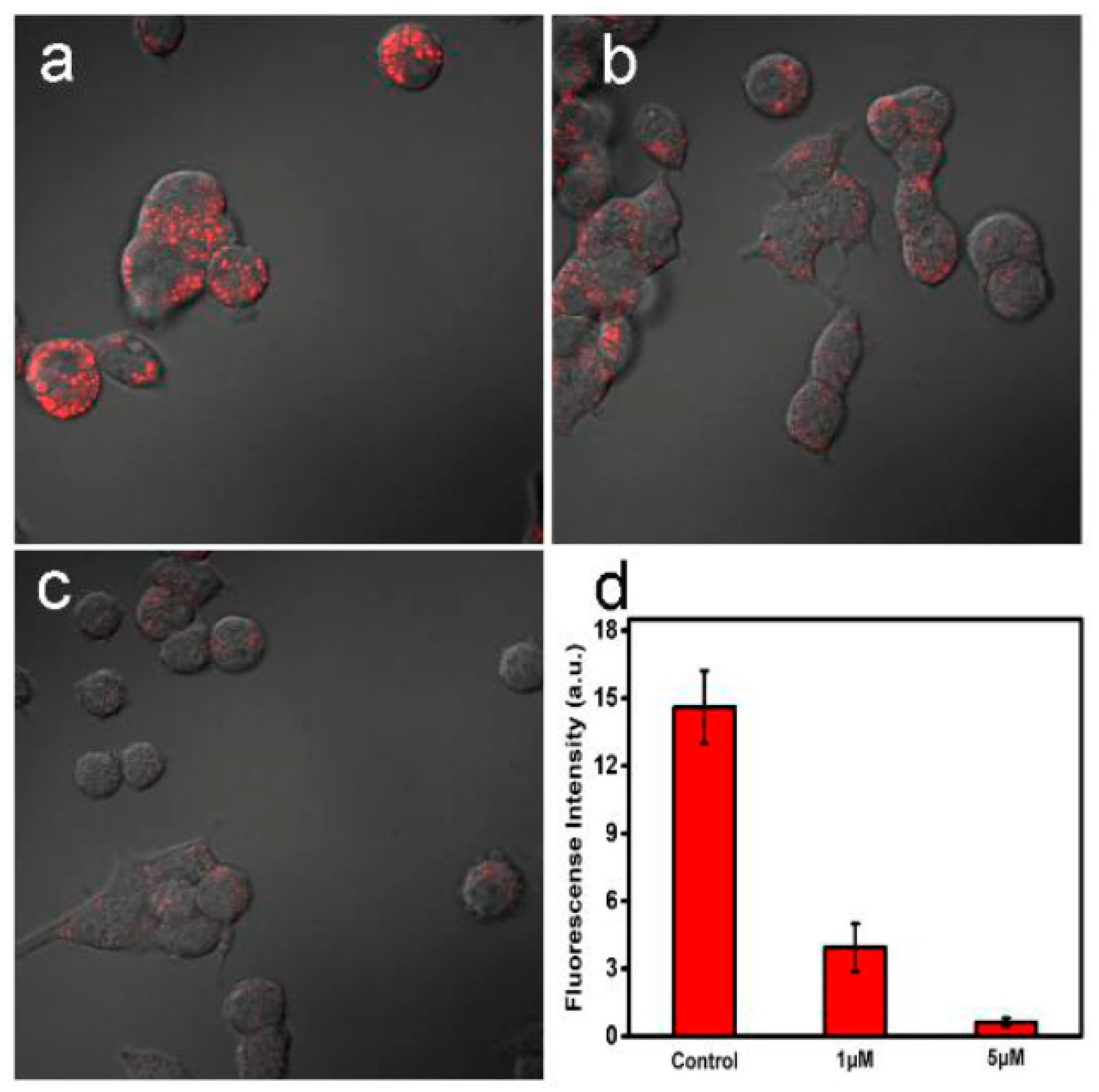 Nanomaterials 11 02089 g008