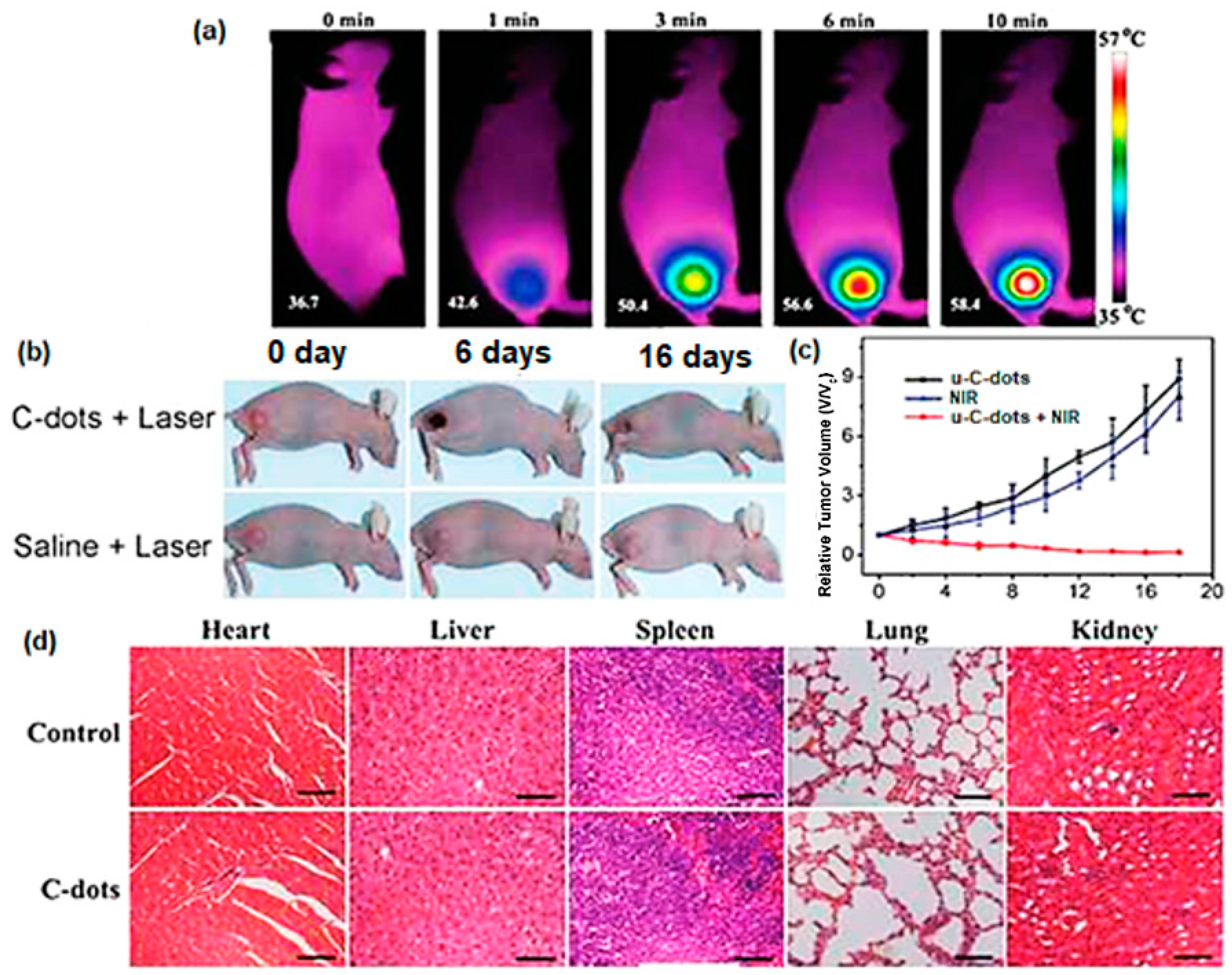 Nanomaterials 11 02089 g010