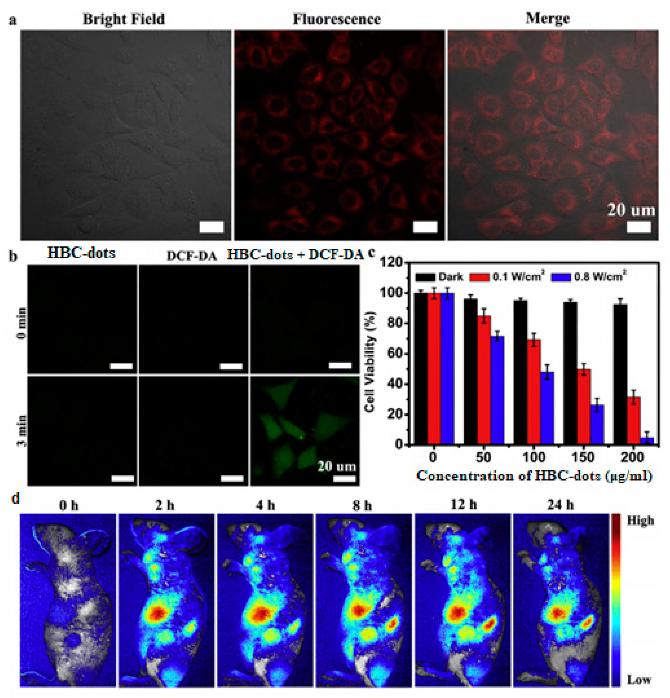 Nanomaterials 11 02089 g011
