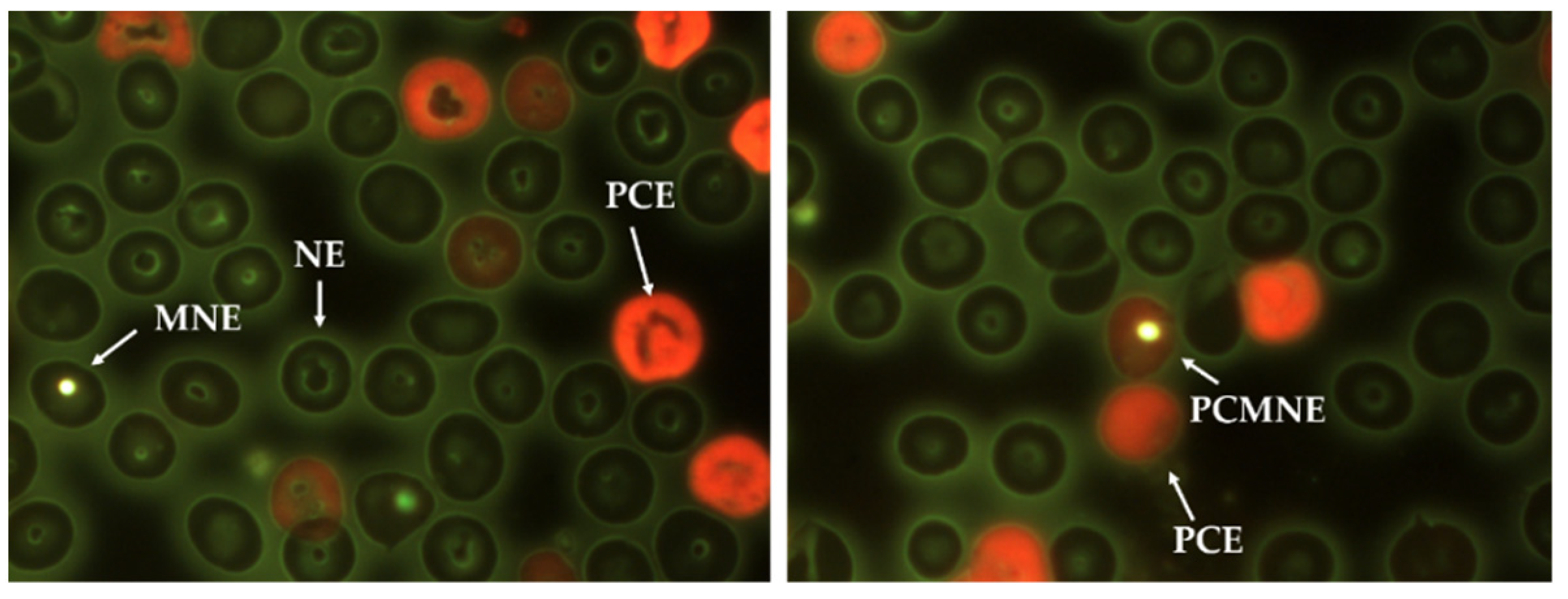 Nanomaterials 11 02096 g002