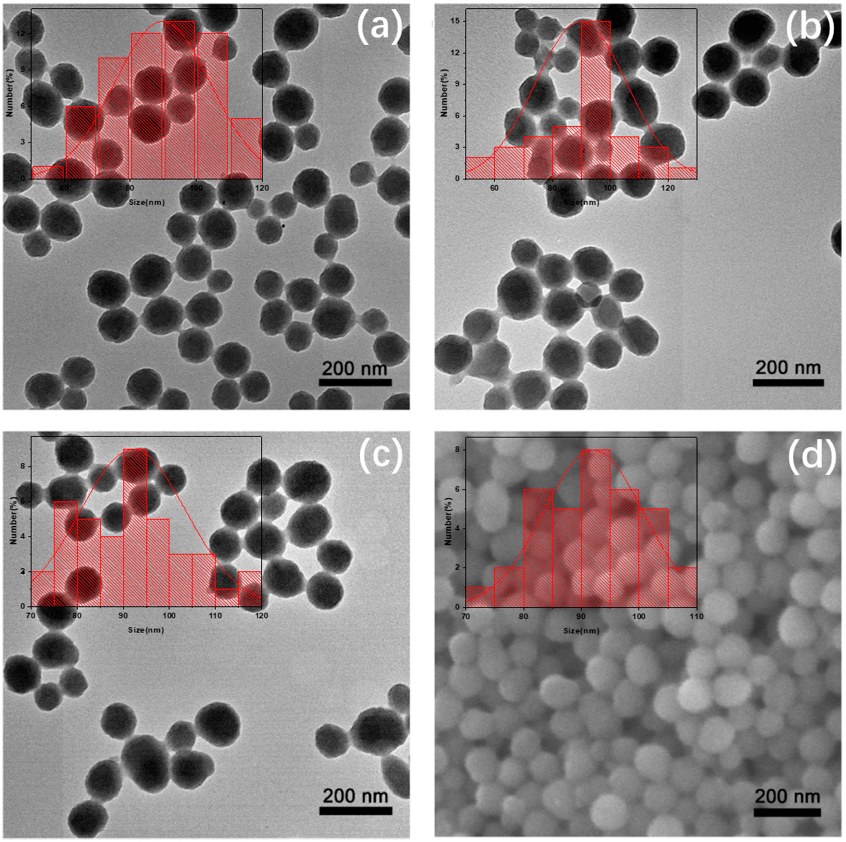 Nanomaterials 11 02107 g002