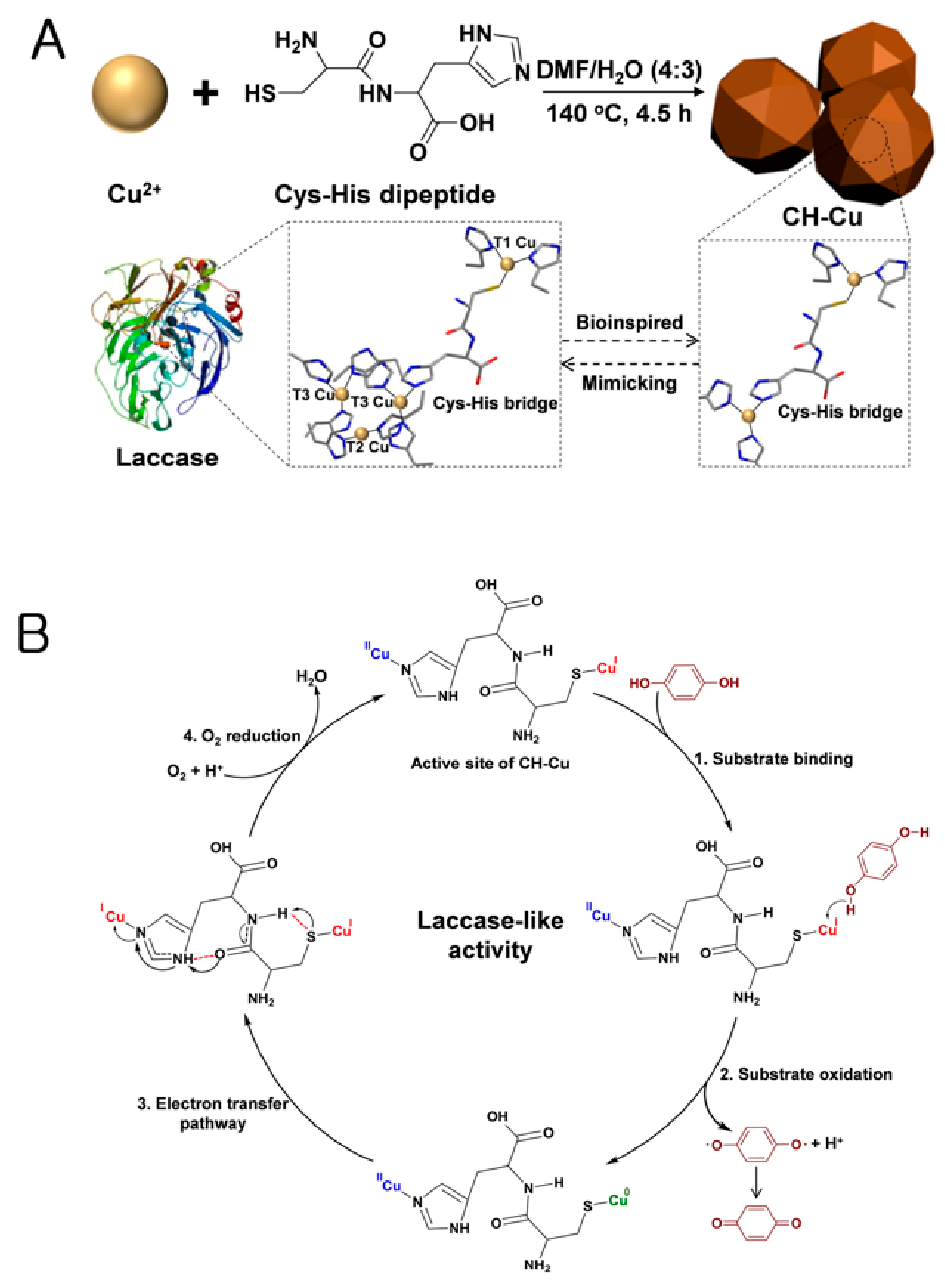 Nanomaterials 11 02116 g003
