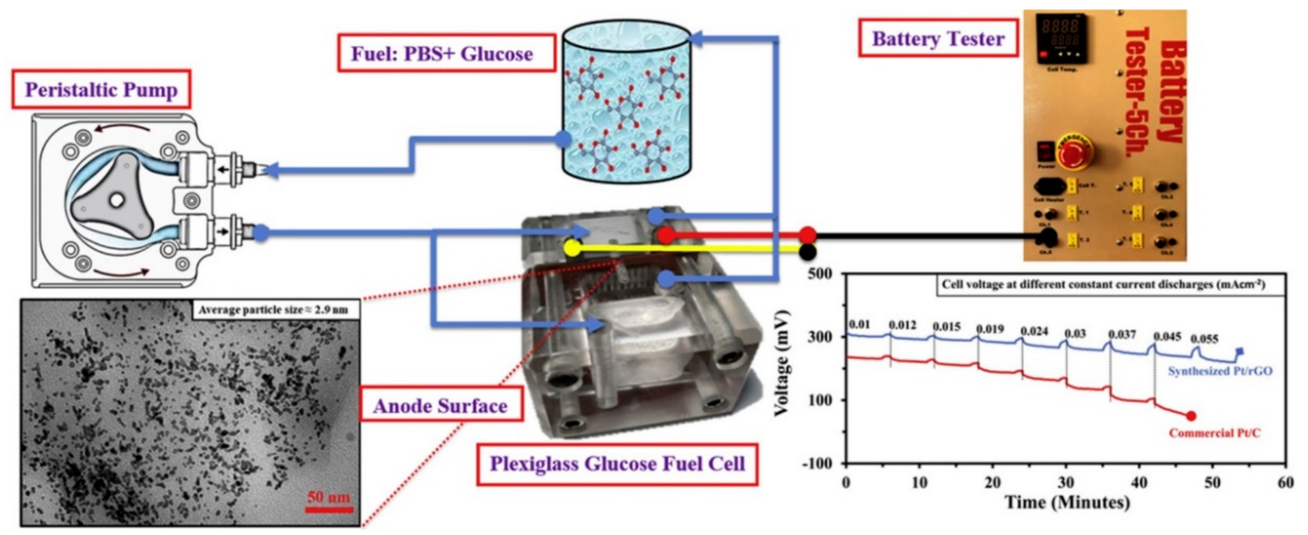 Nanomaterials 11 02116 g004