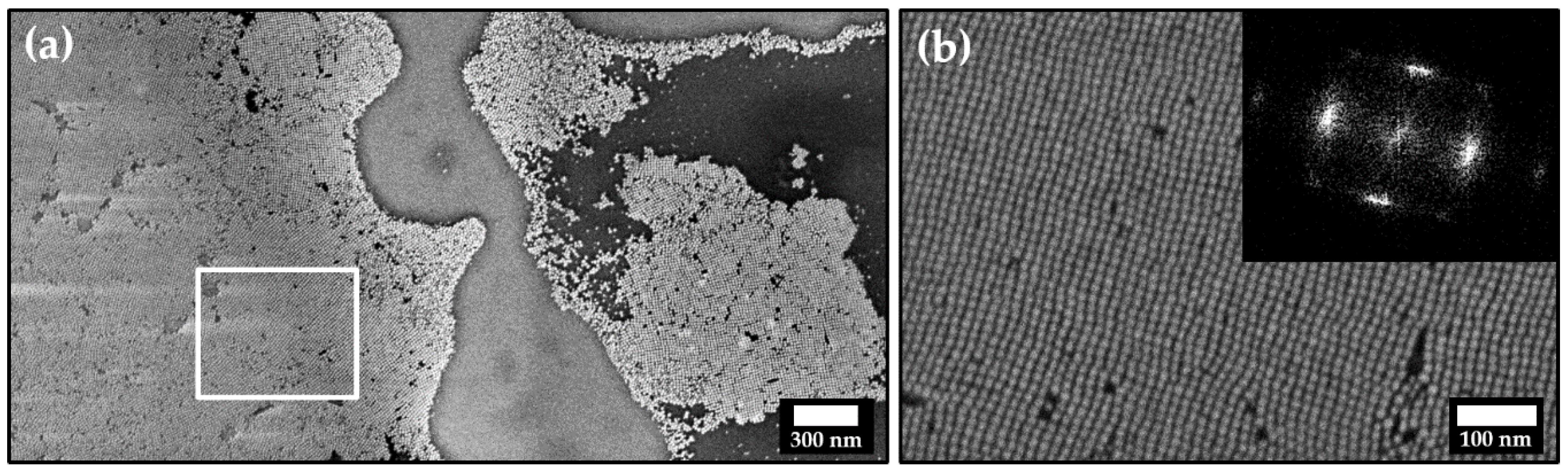 Nanomaterials 11 02122 g002