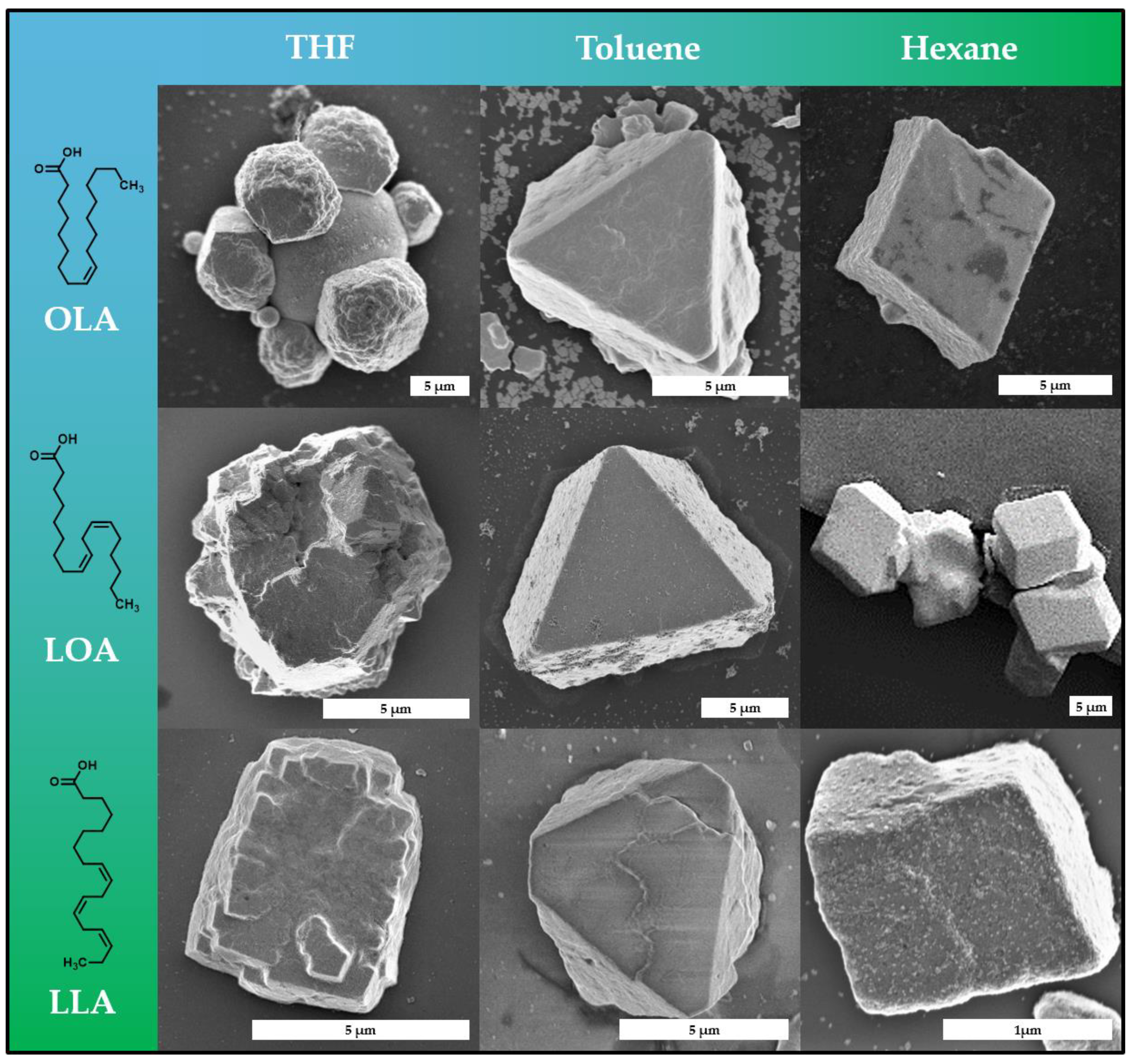 Nanomaterials | Free Full-Text | Mesocrystals from Platinum Nanocubes | HTML