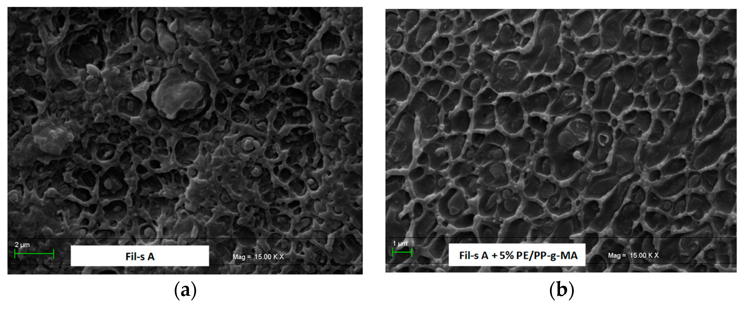 Nanomaterials 11 02128 g005