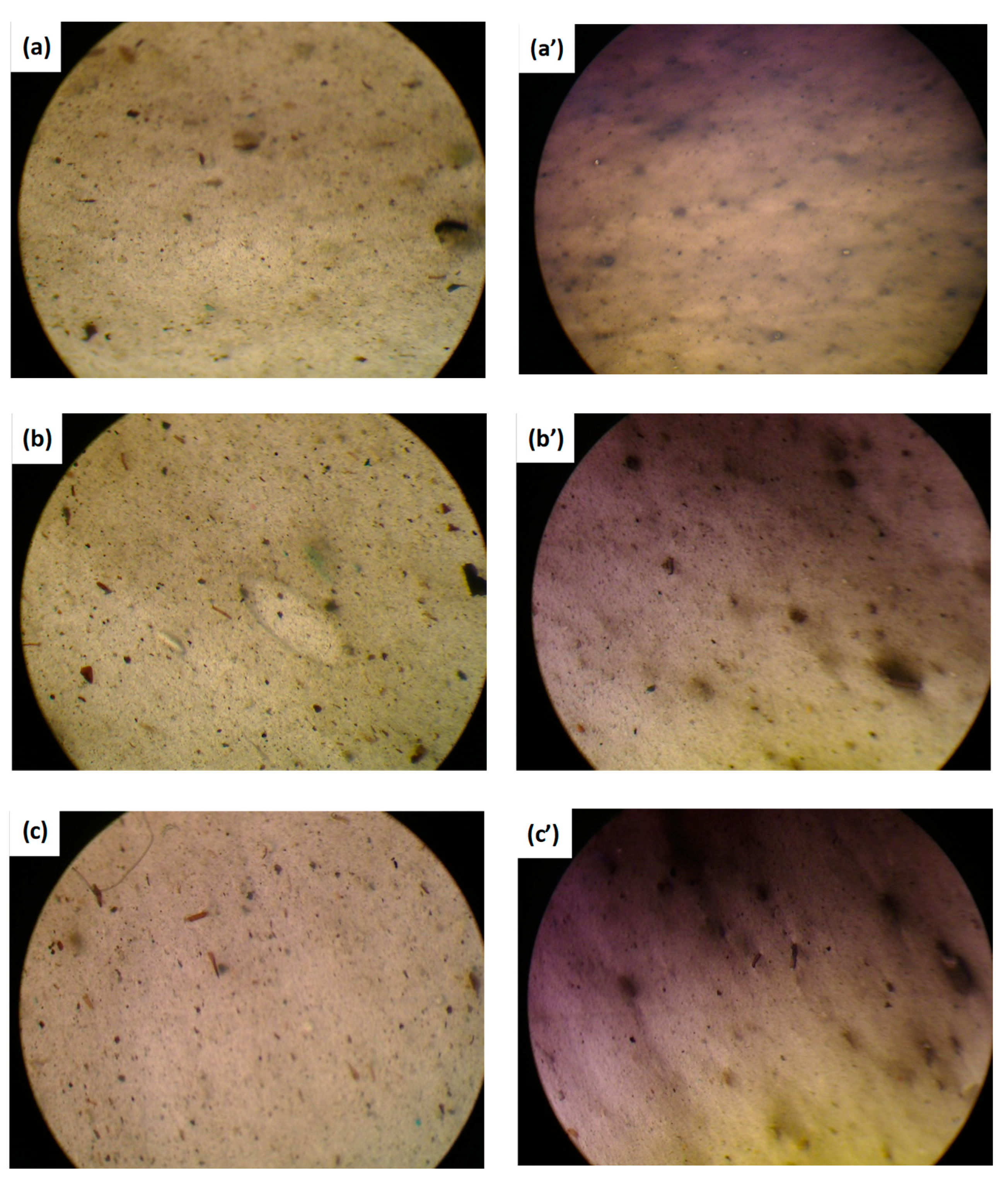 Nanomaterials 11 02128 g010