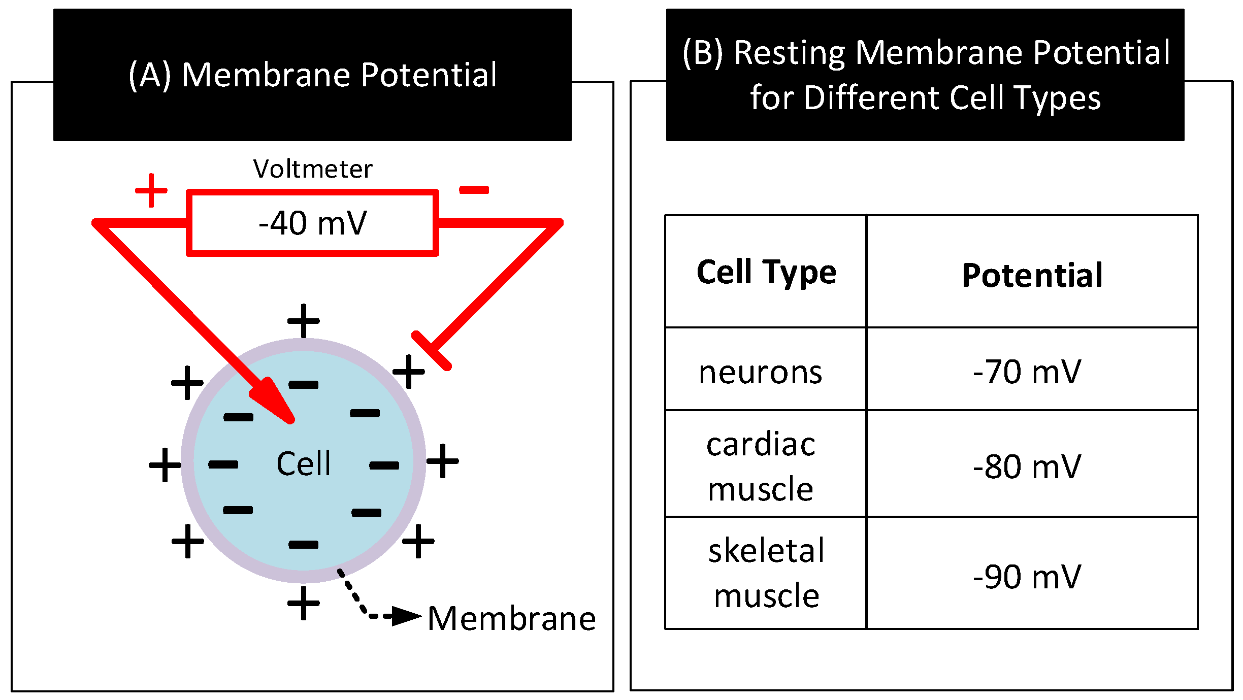 Nanomaterials 11 02152 g011