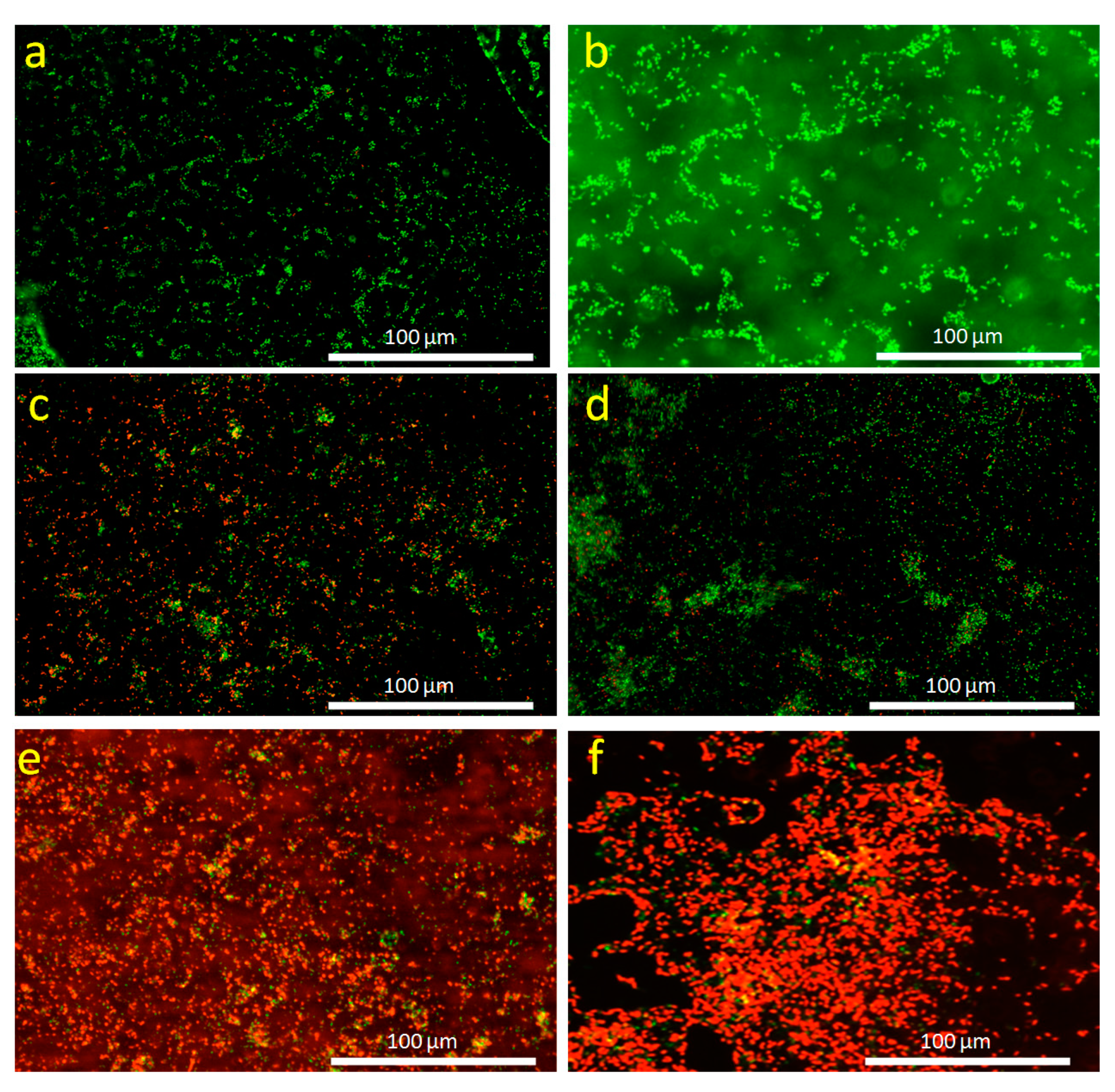 Nanomaterials 11 02156 g010 Nanomaterials 11 02156 g010