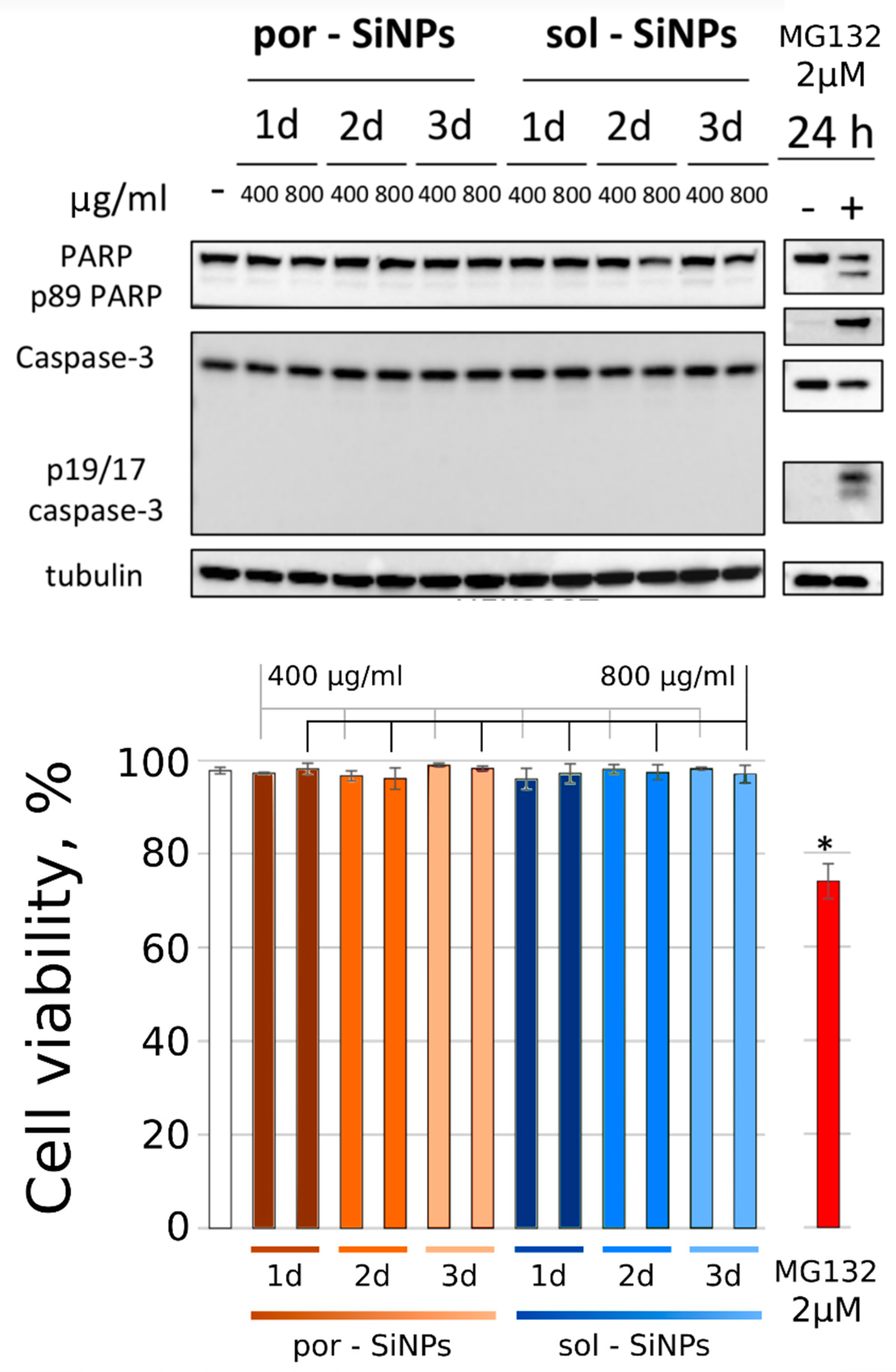 Nanomaterials 11 02167 g004
