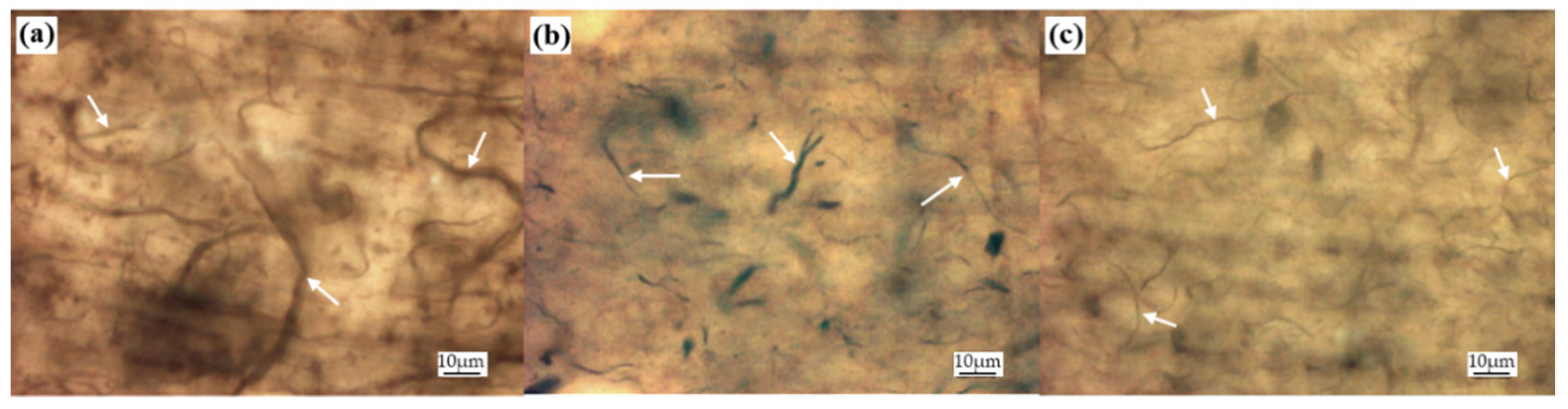 Nanomaterials 11 02168 g008