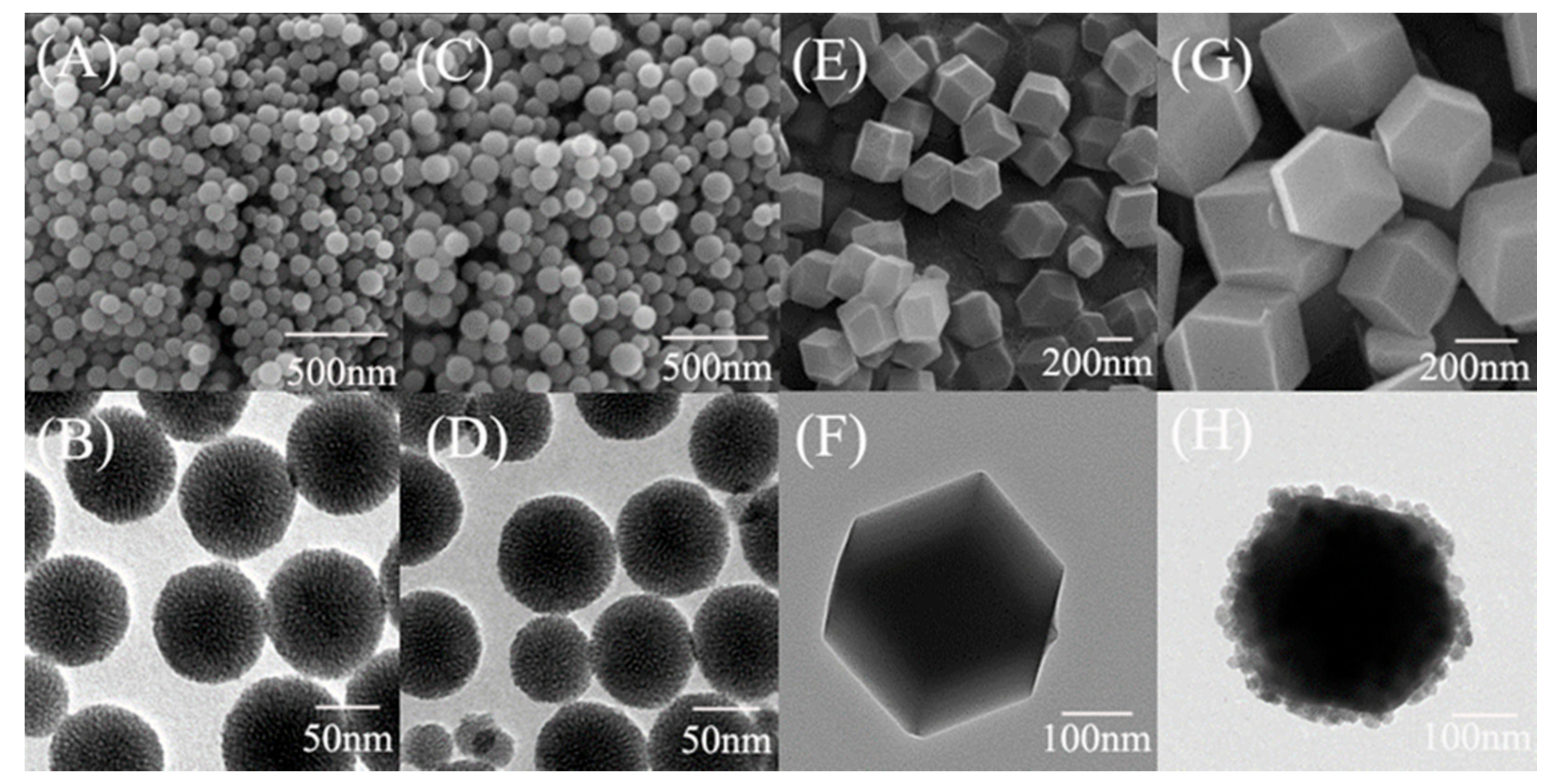 Nanomaterials 11 02171 g002