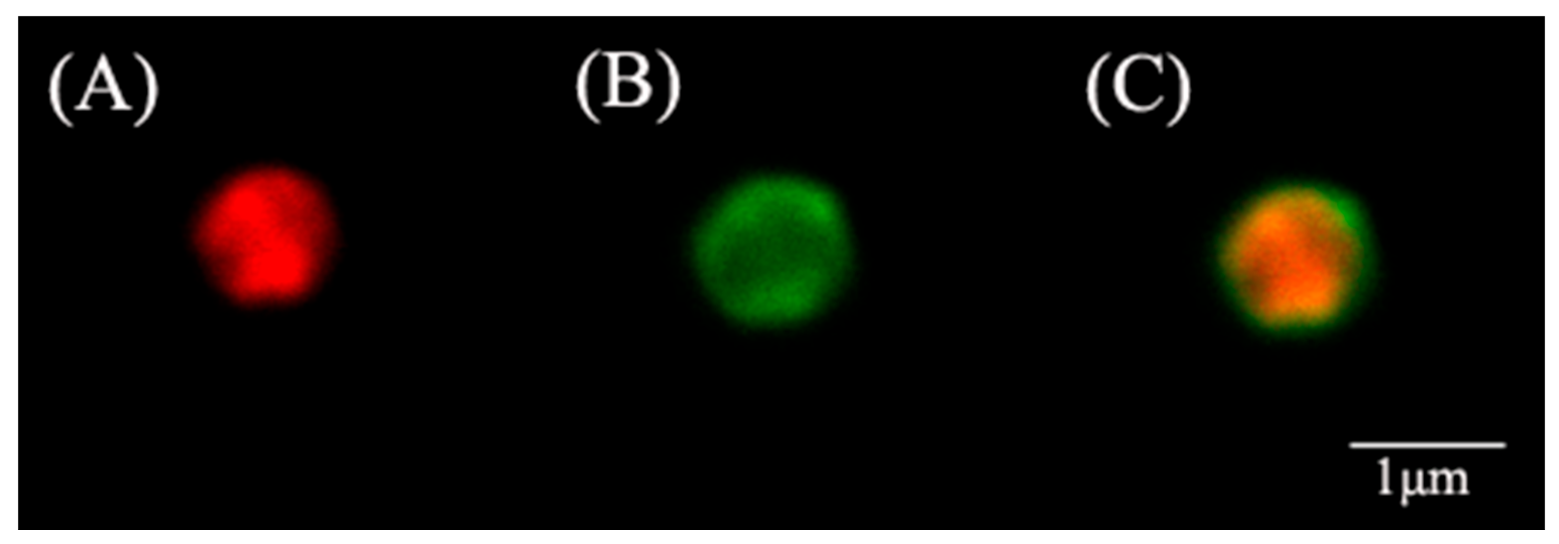 Nanomaterials 11 02171 g003