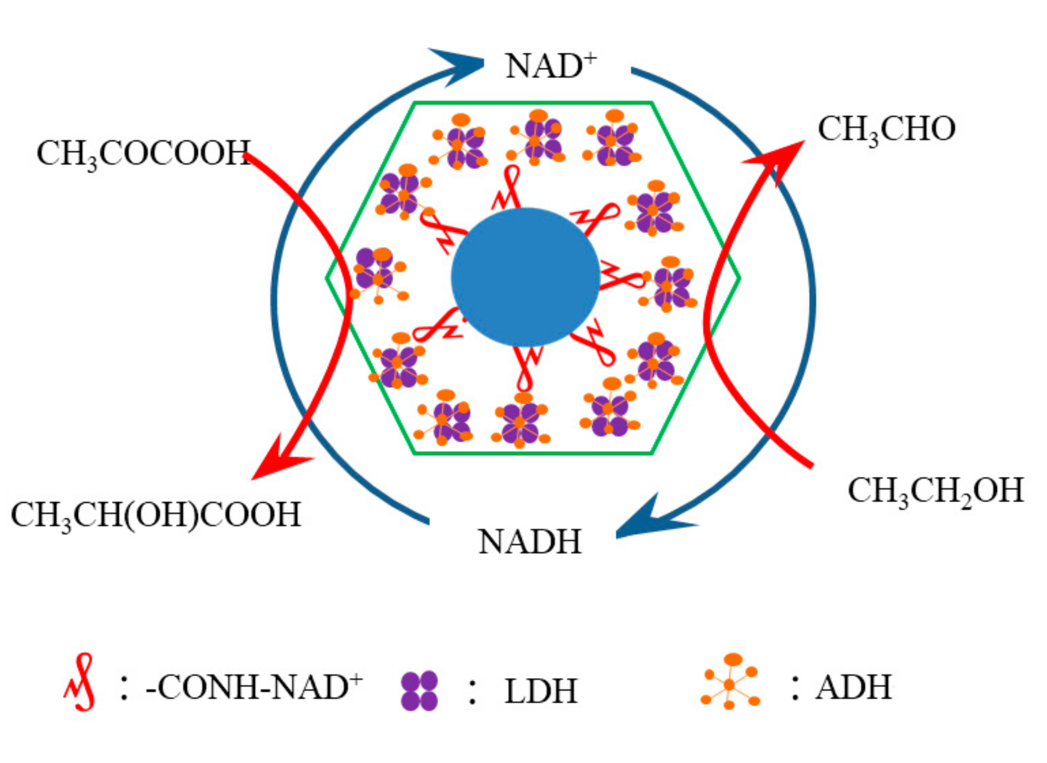 Nanomaterials 11 02171 g004