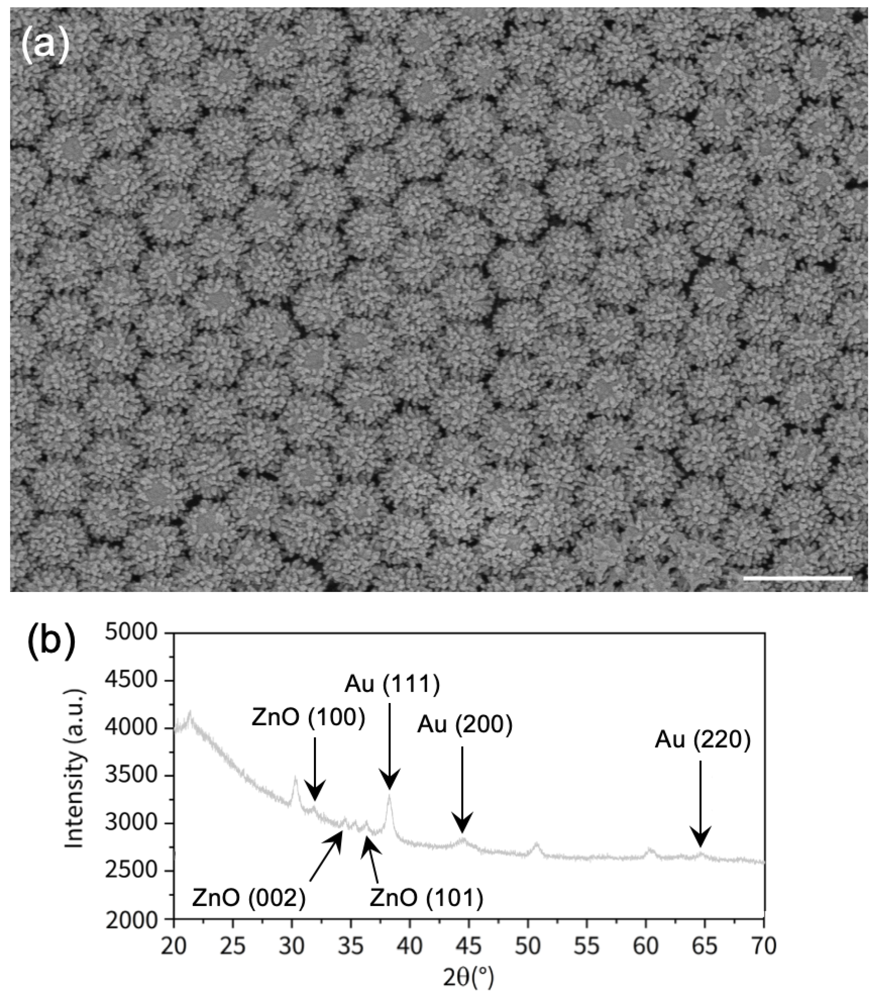 Nanomaterials 11 02174 g001