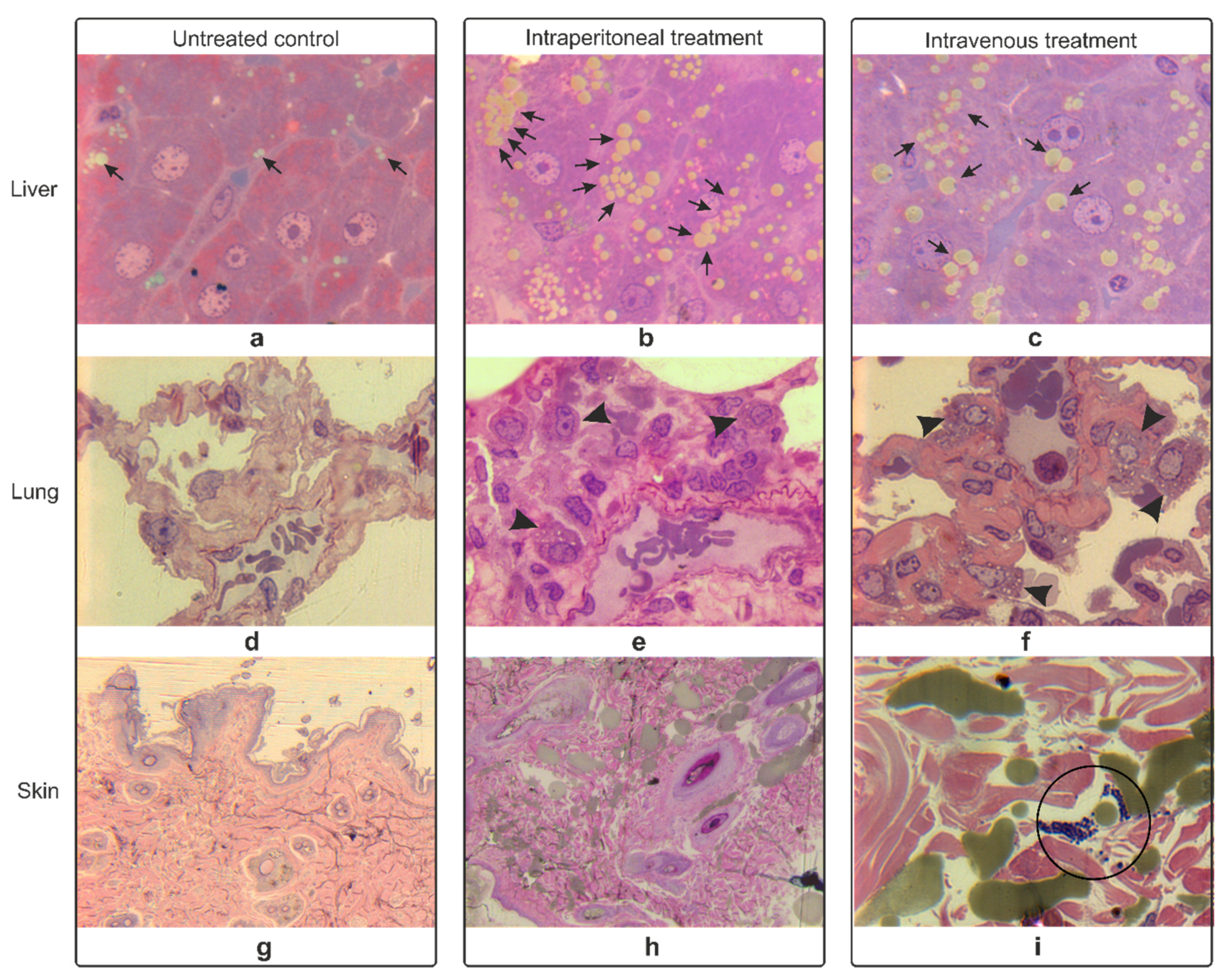 Nanomaterials 11 02184 g004