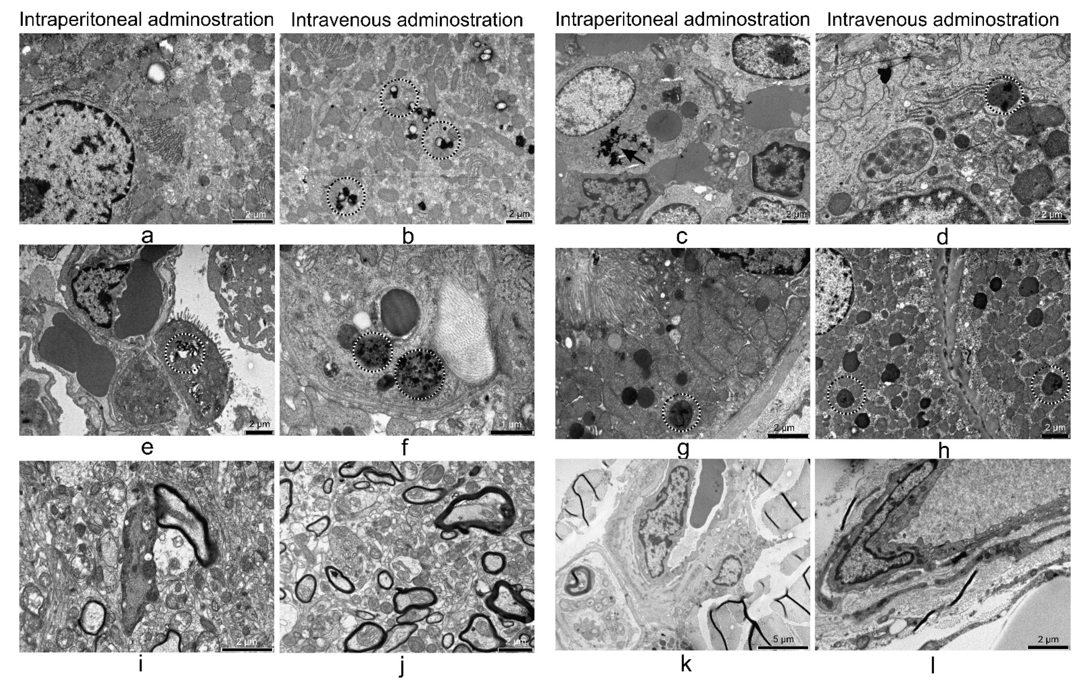 Nanomaterials 11 02184 g009