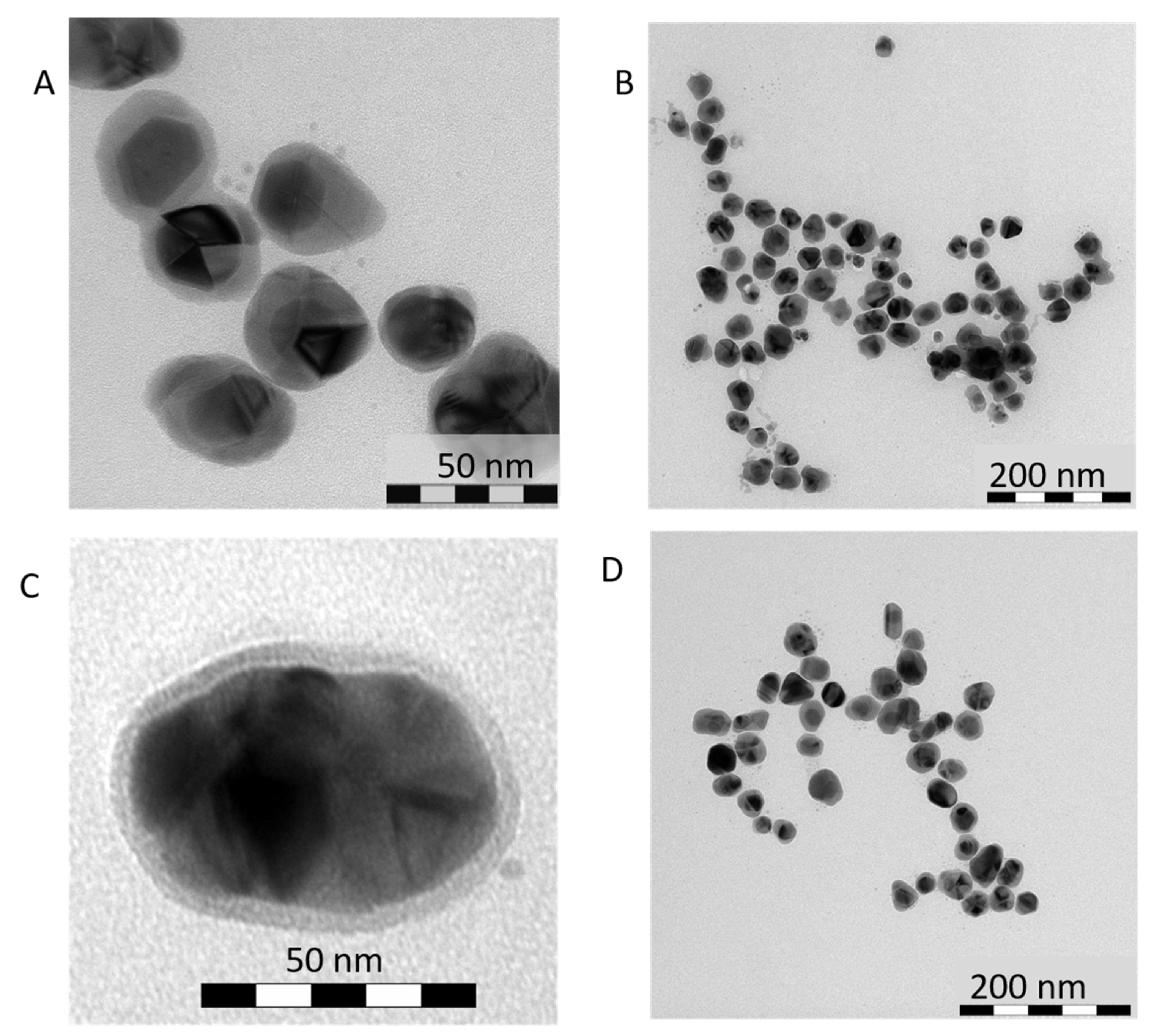 Nanomaterials 11 02185 g002