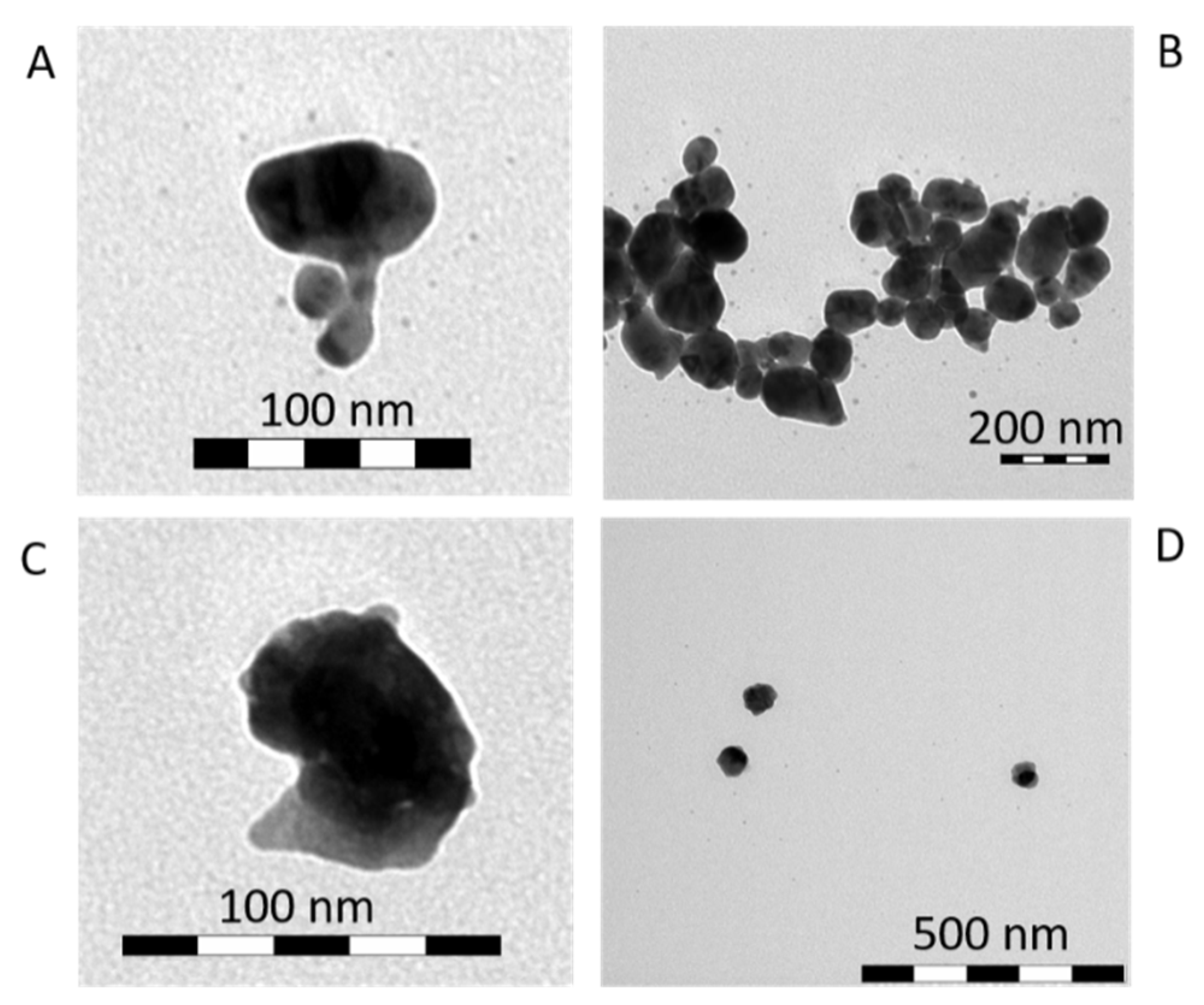 Nanomaterials 11 02185 g004