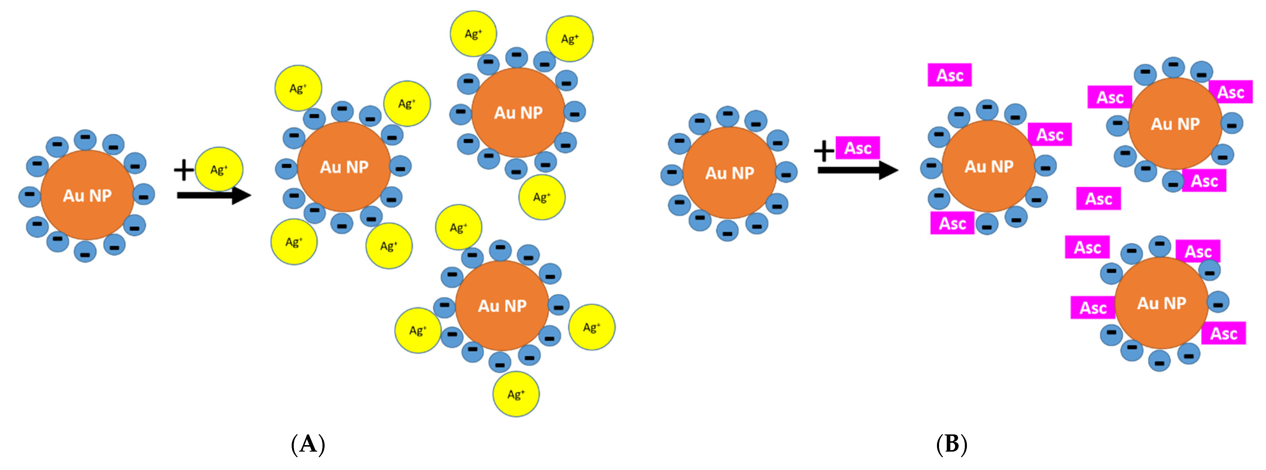 Nanomaterials 11 02185 sch002