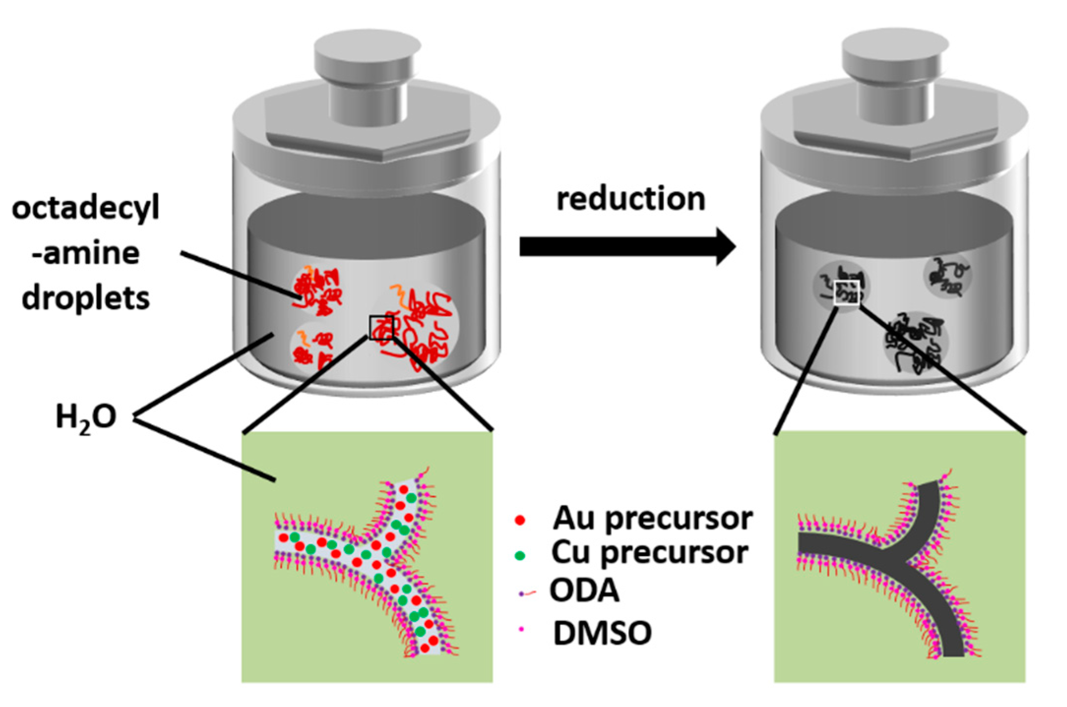 Nanomaterials 11 02193 g001