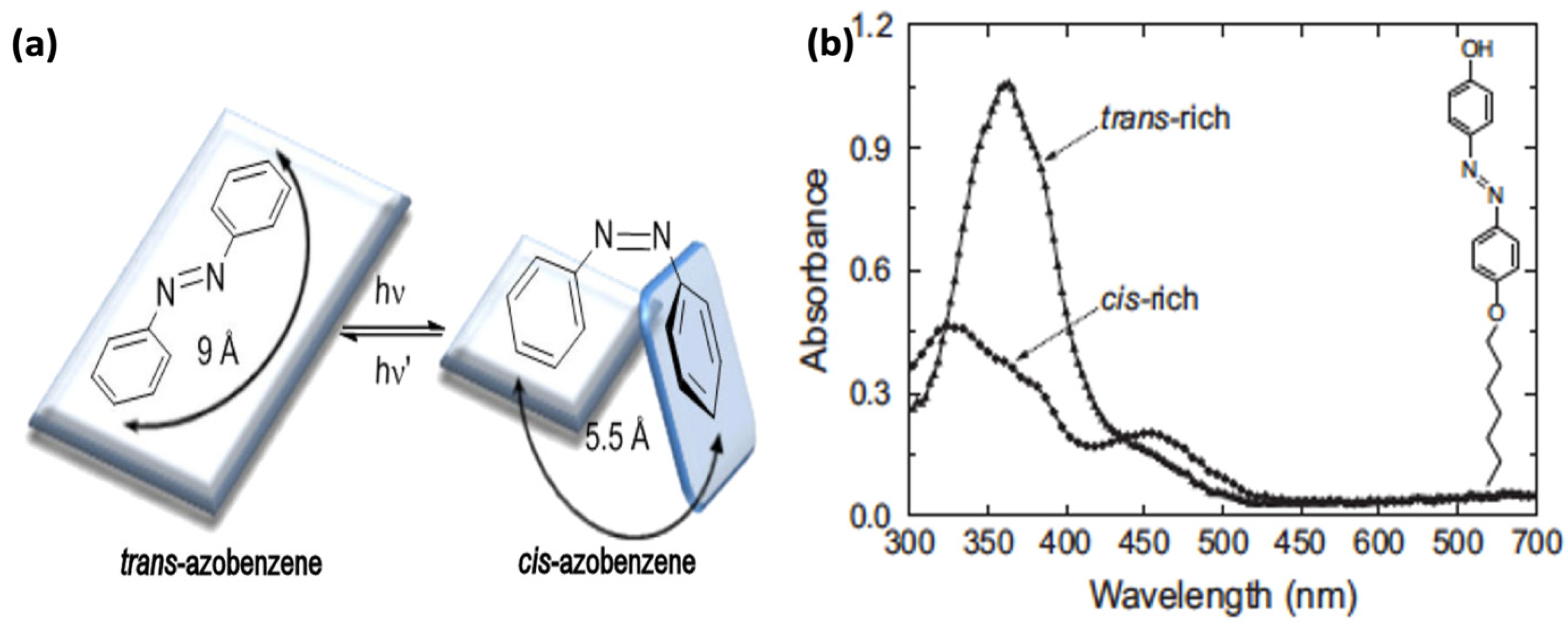 Nanomaterials 11 02211 g004 Nanomaterials 11 02211 g004