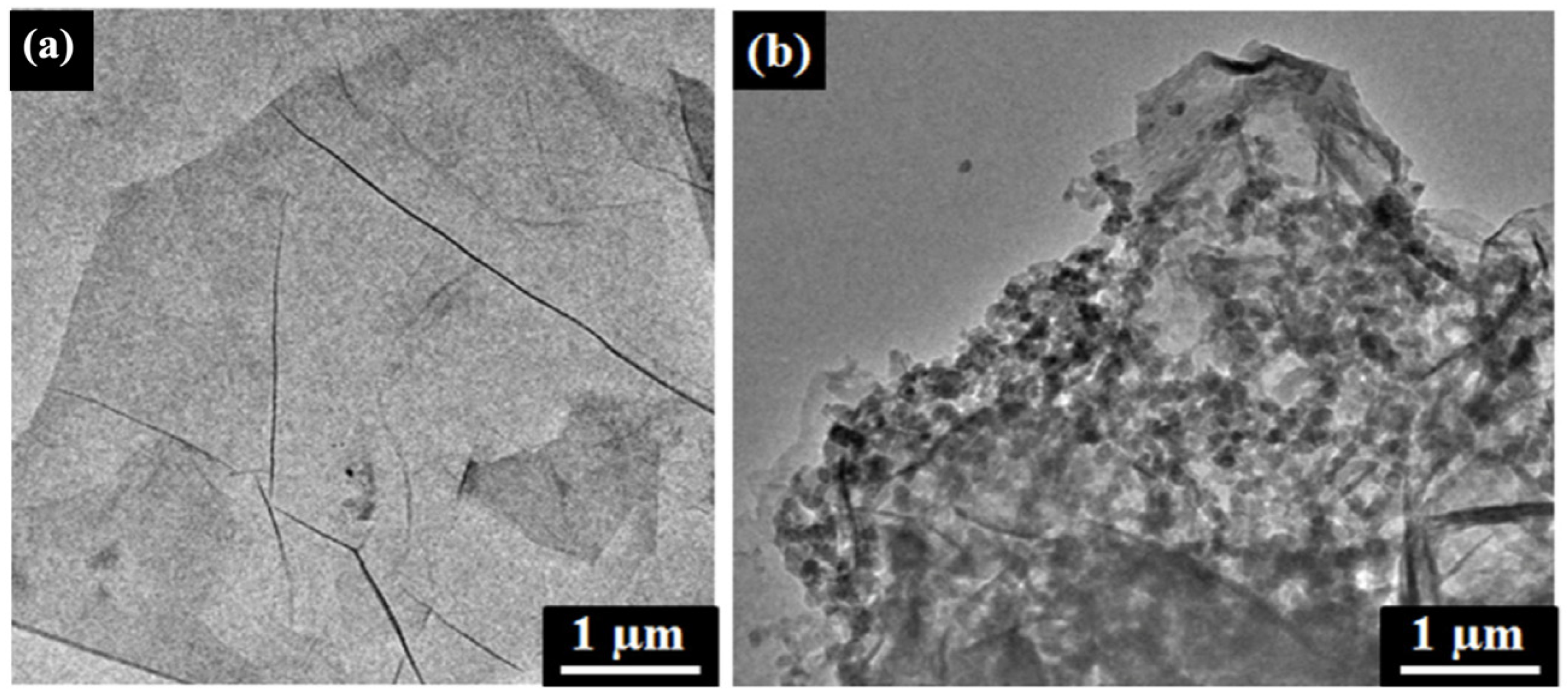 Nanomaterials 11 02211 g024 Nanomaterials 11 02211 g024