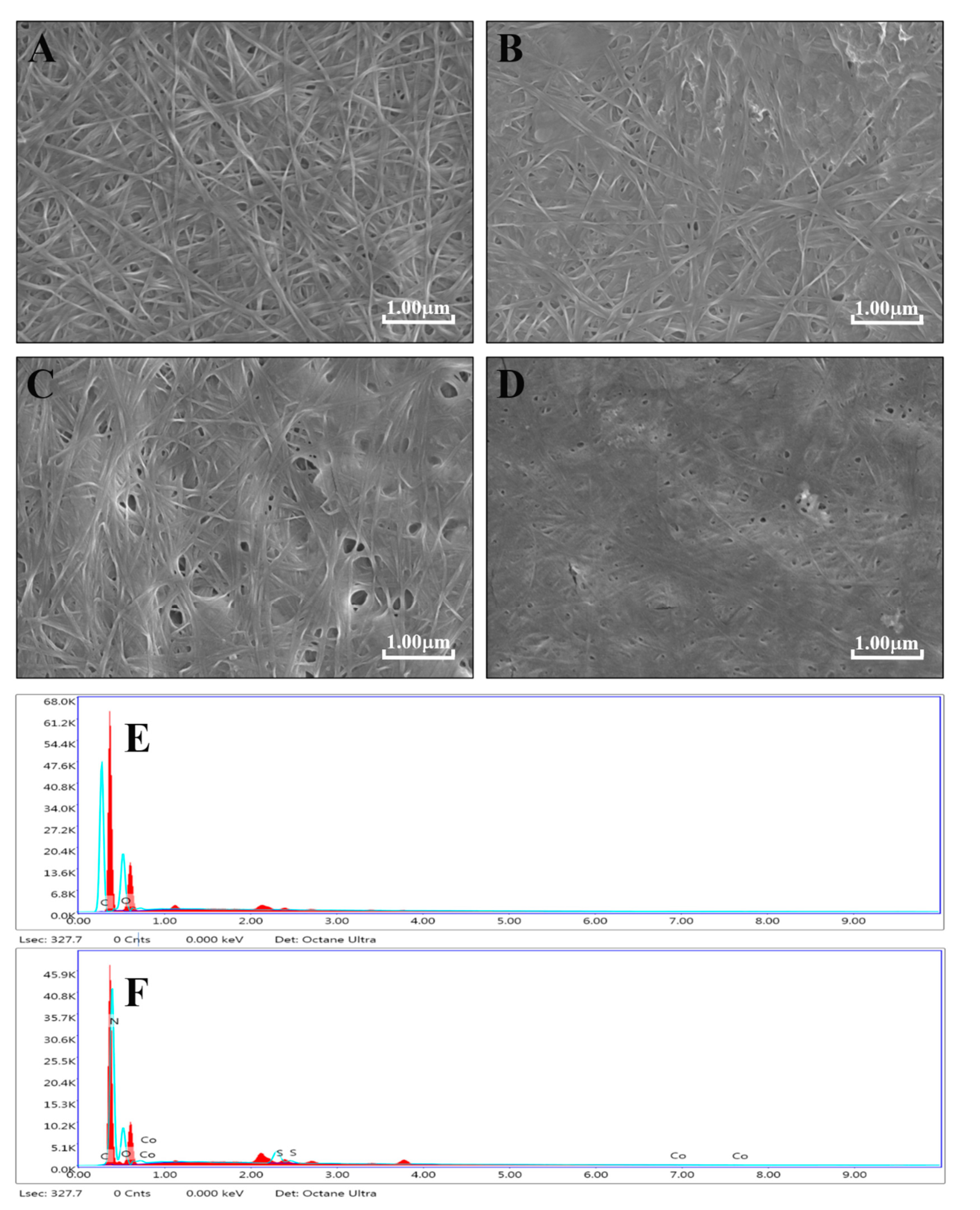 Nanomaterials 11 02218 g001