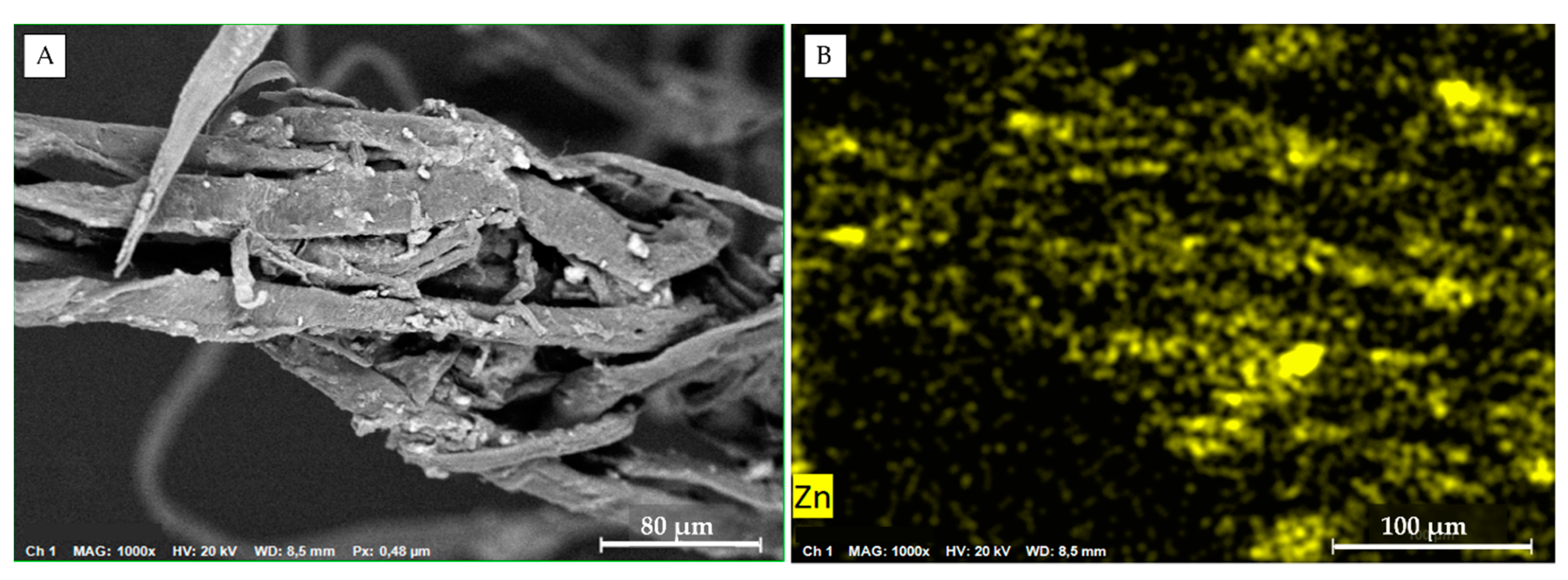 Nanomaterials 11 02219 g004 Nanomaterials 11 02219 g004