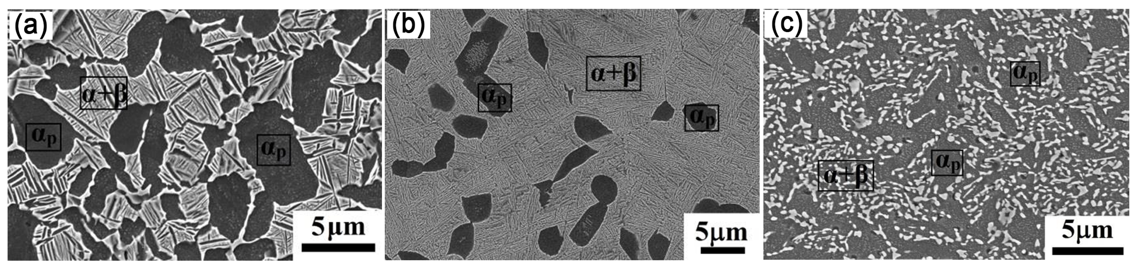 Nanomaterials 11 02223 g014