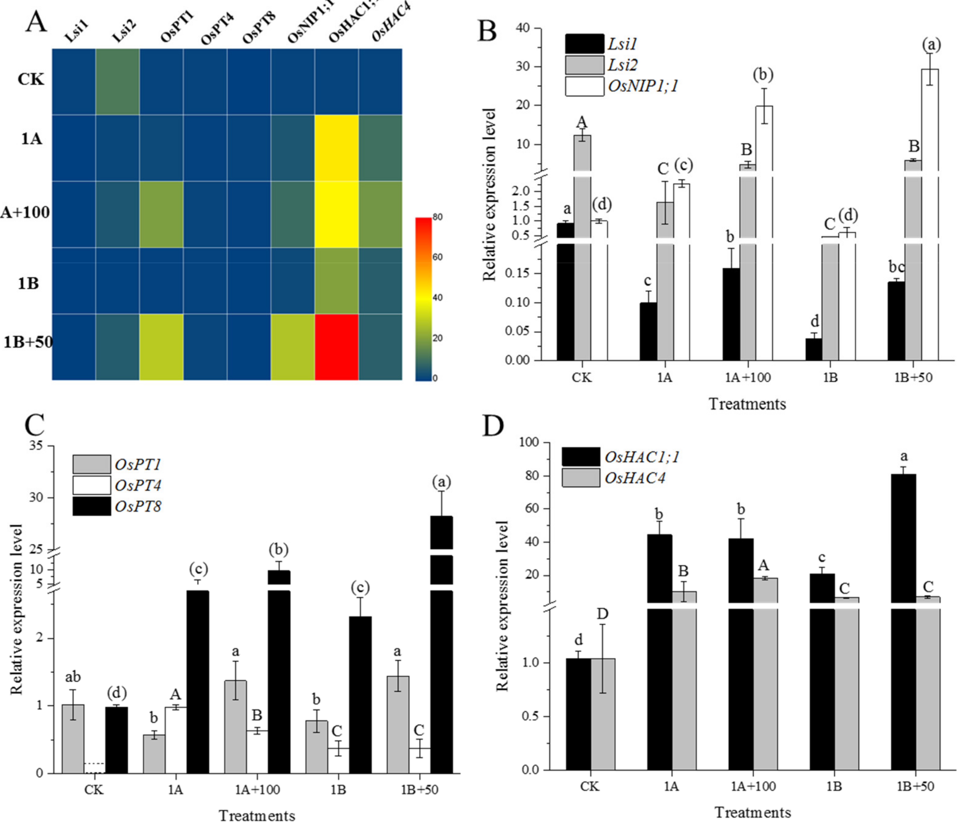 Nanomaterials 11 02228 g004