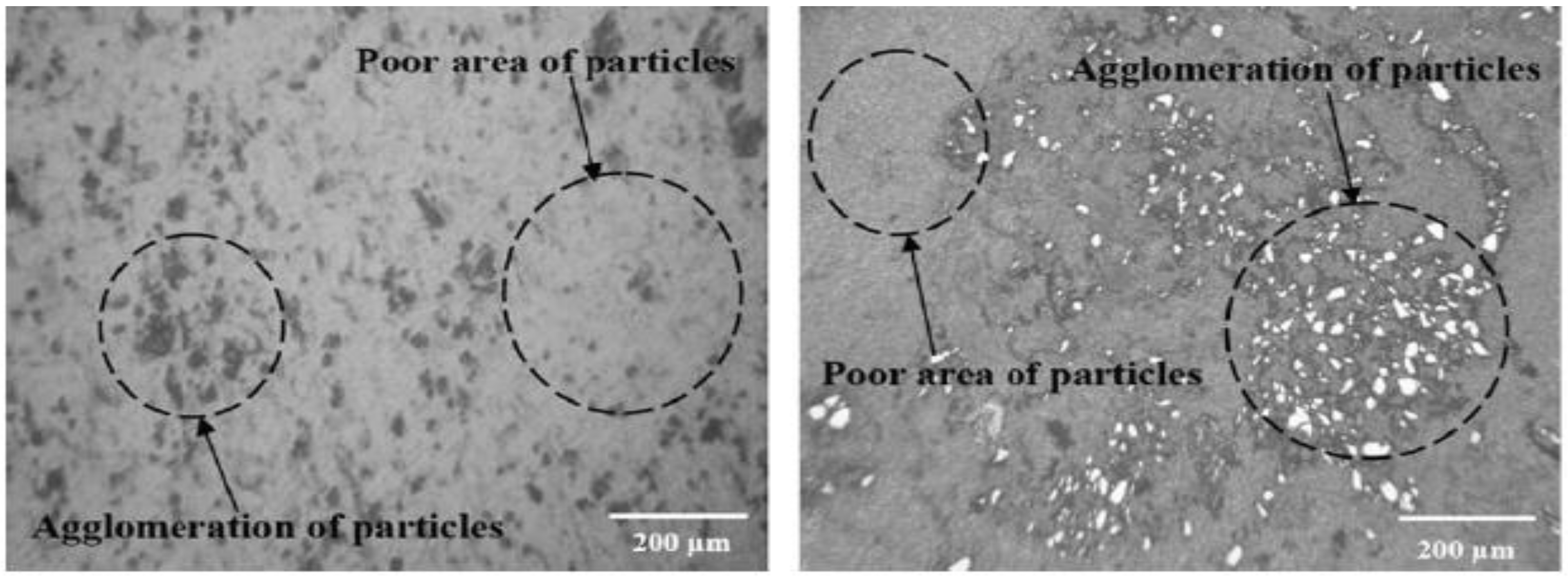 Nanomaterials 11 02230 g003b