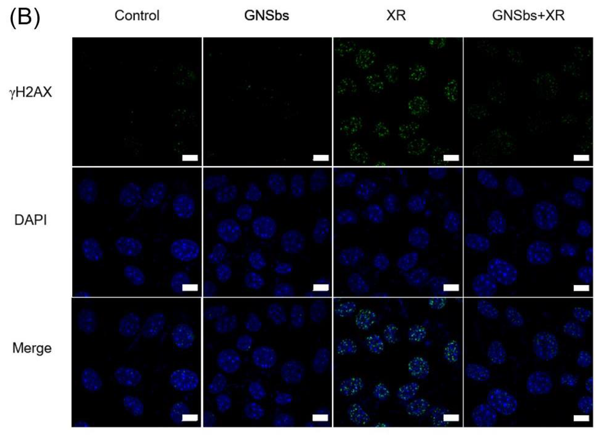 Nanomaterials 11 02235 g006b Nanomaterials 11 02235 g006b