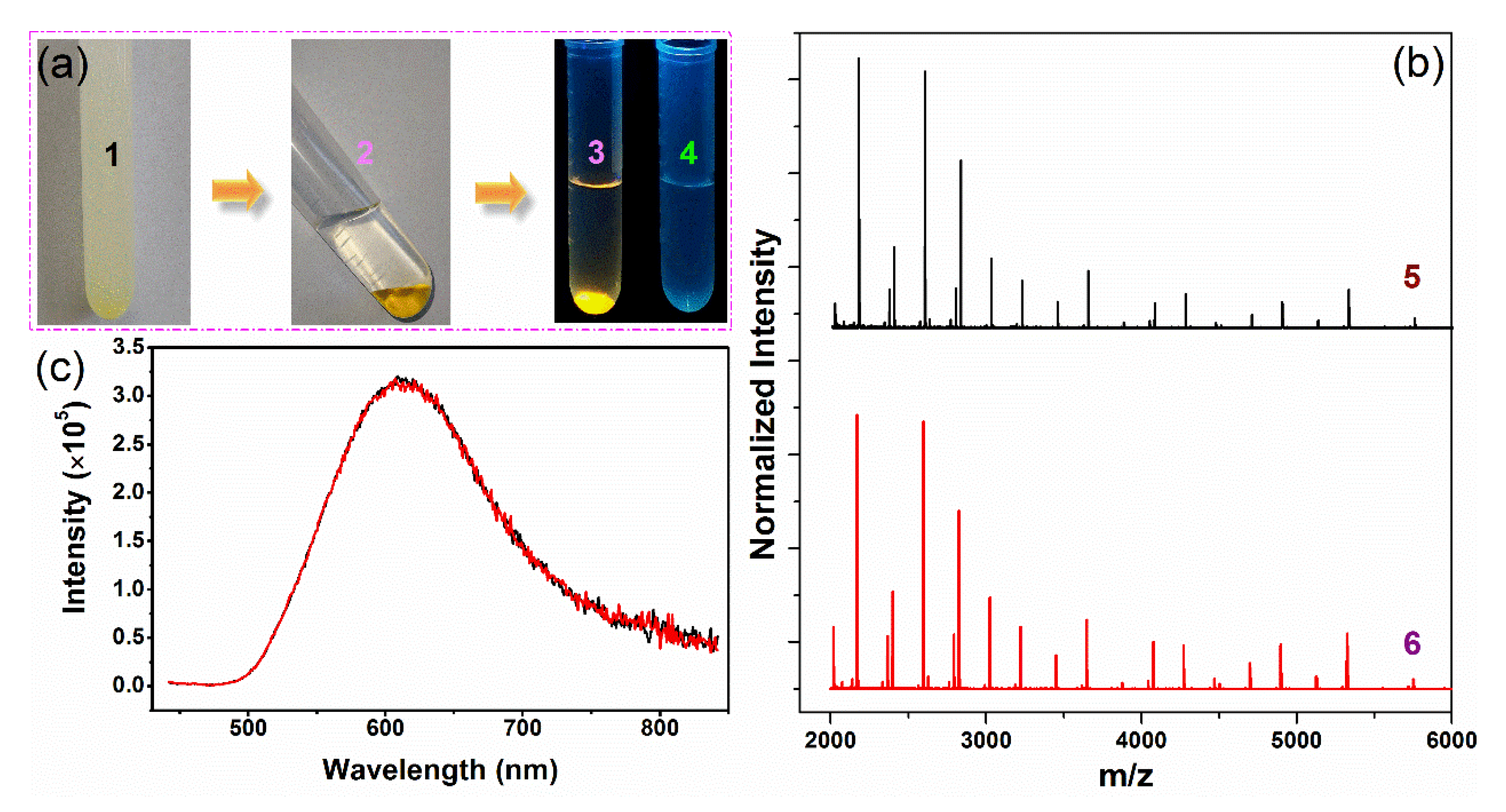 Nanomaterials 11 02258 g004