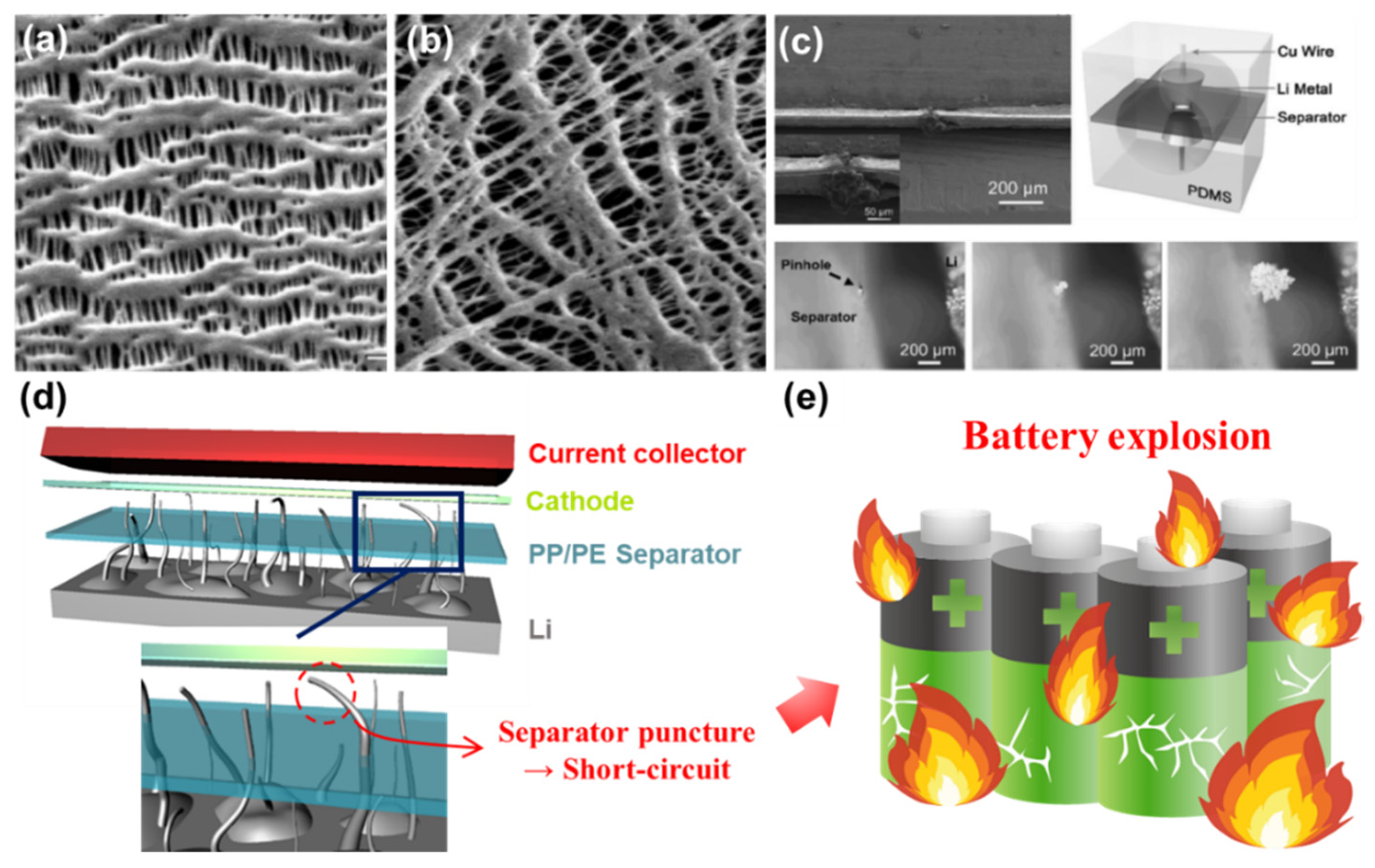 Nanomaterials | Free Full-Text | Surface-Functionalized Separator For ...