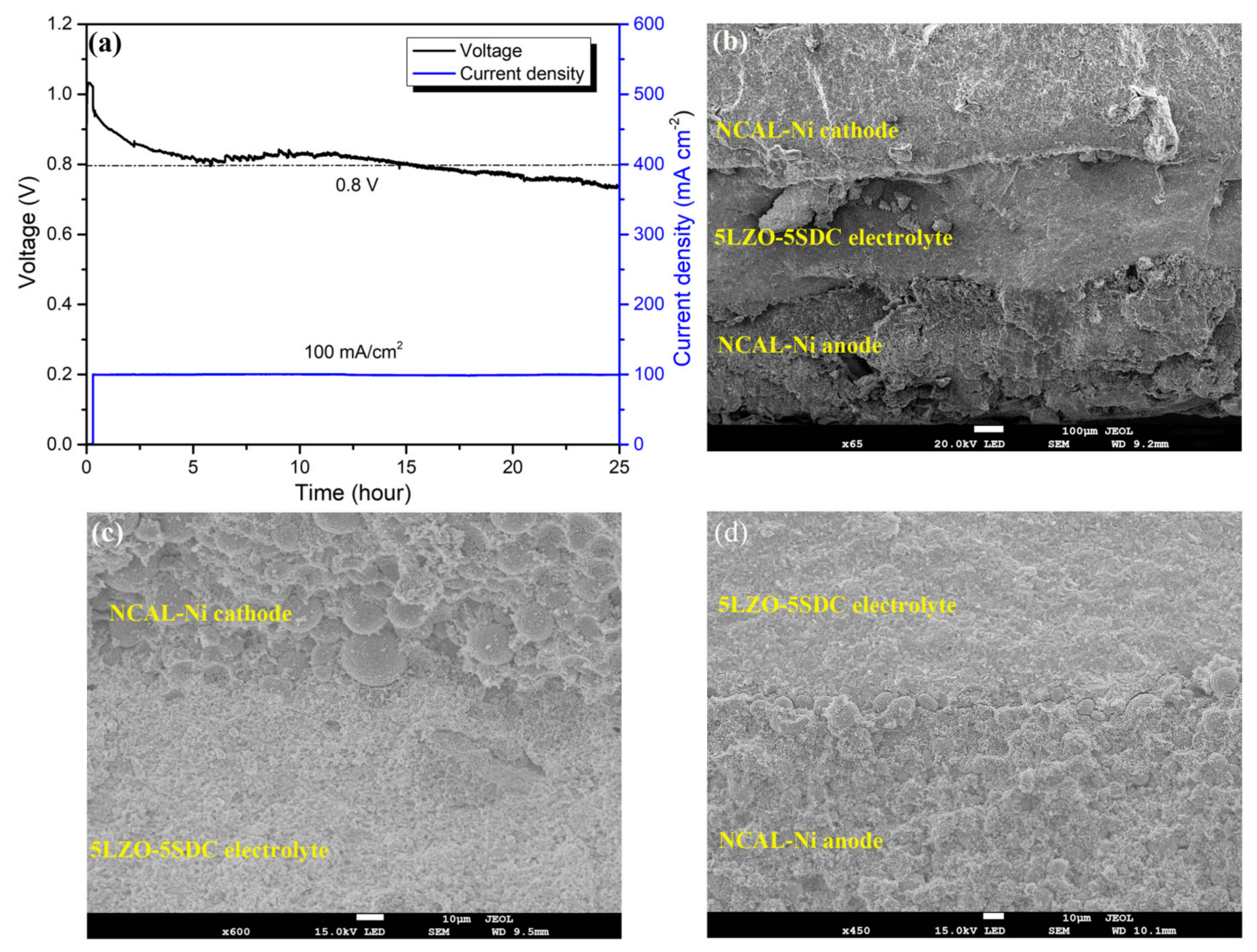 Nanomaterials 11 02277 g010
