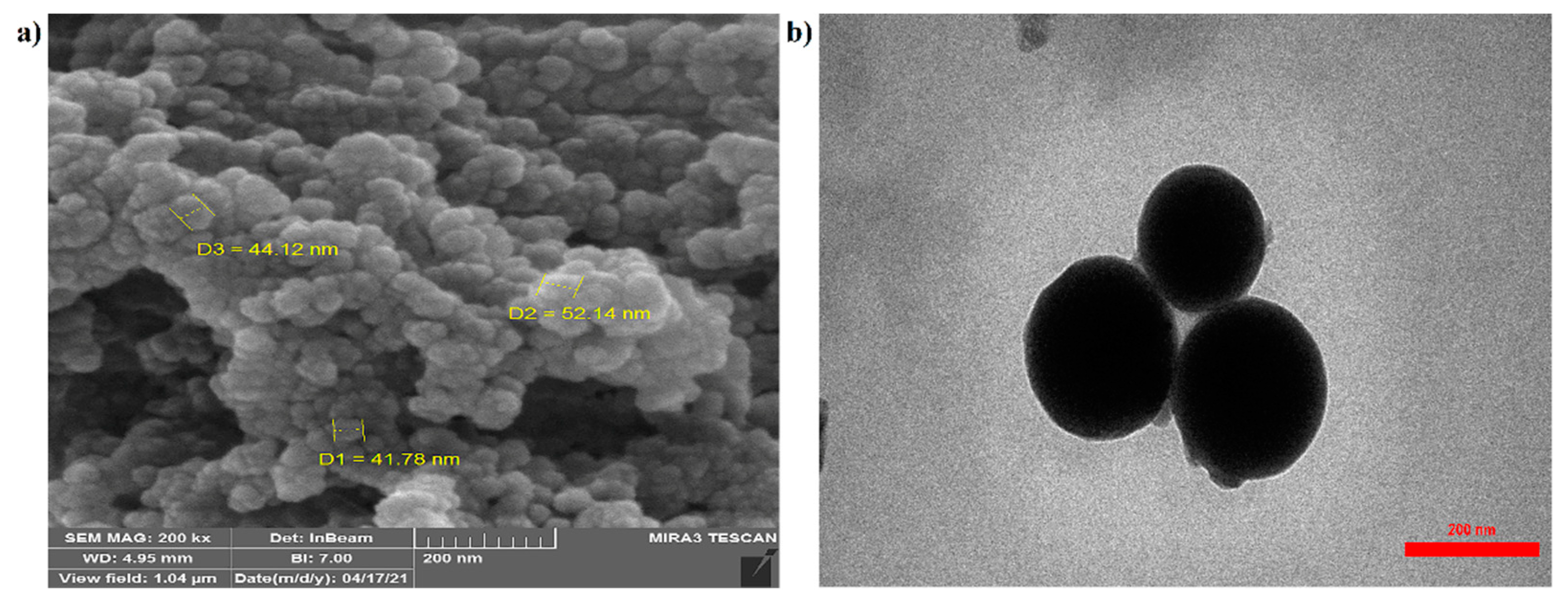 Nanomaterials 11 02287 g002 Nanomaterials 11 02287 g002
