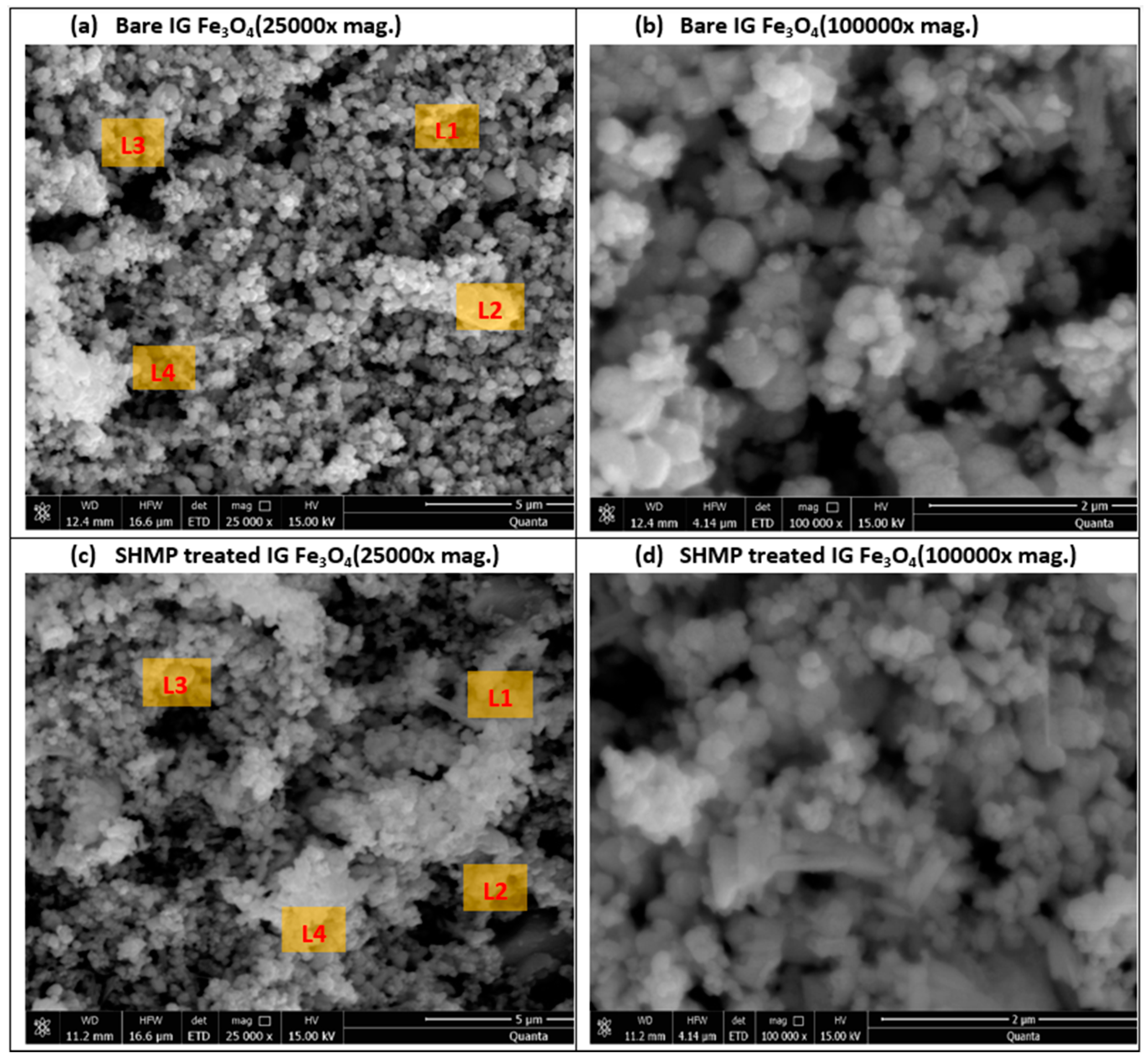 Nanomaterials 11 02299 g004