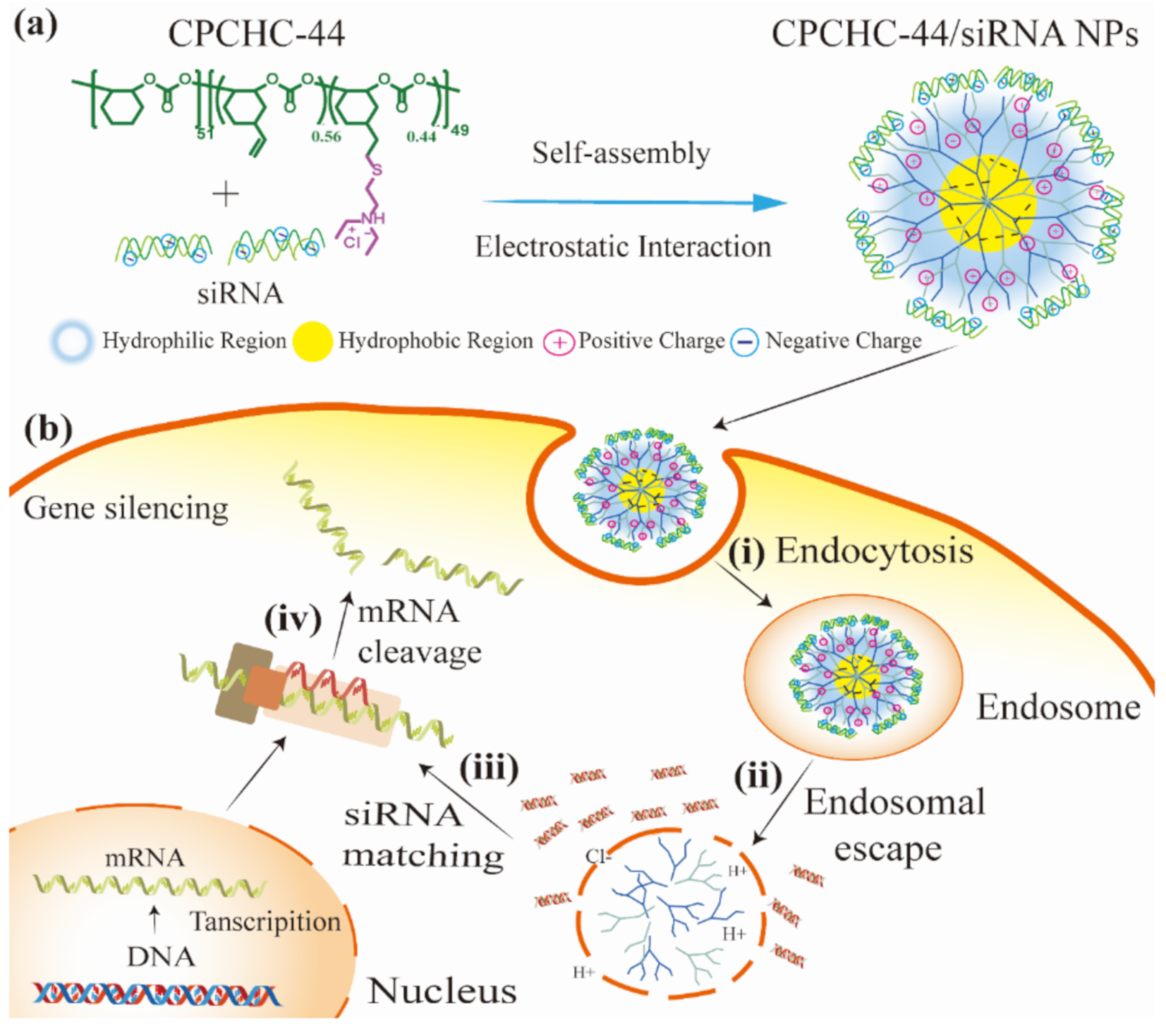 Nanomaterials 11 02312 sch001