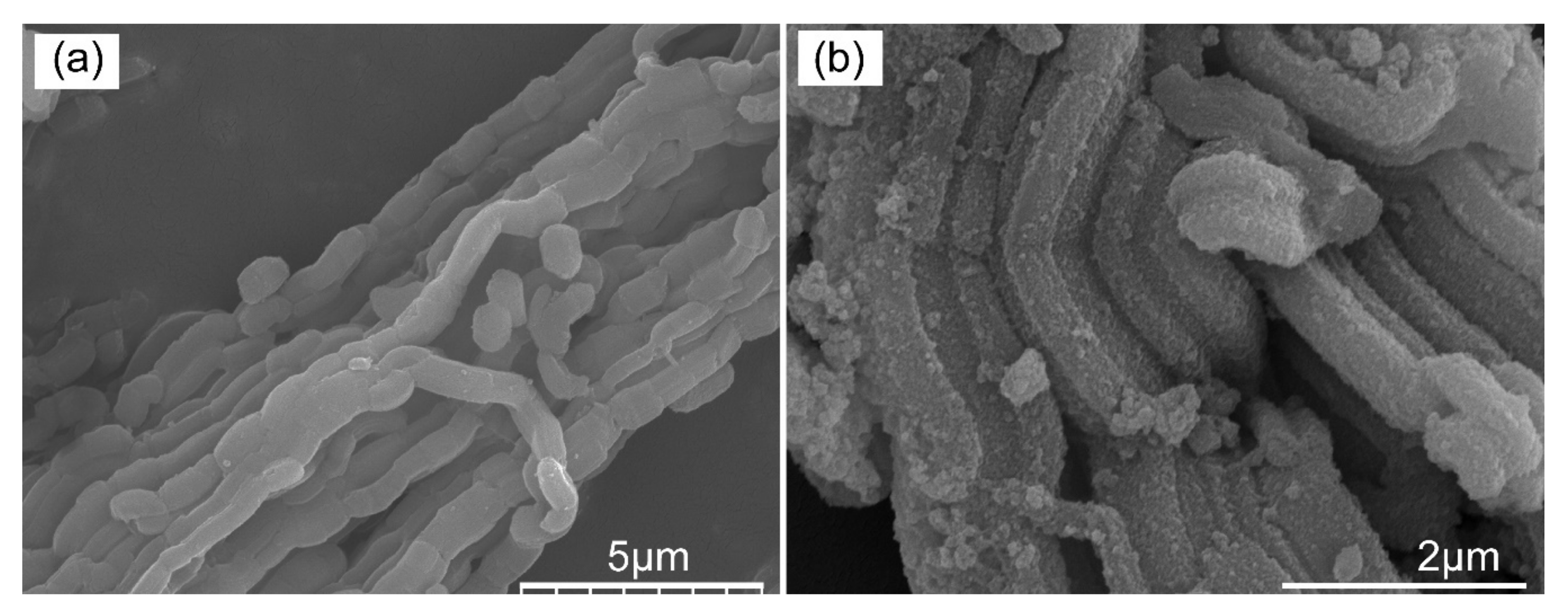 Nanomaterials 11 02314 g005