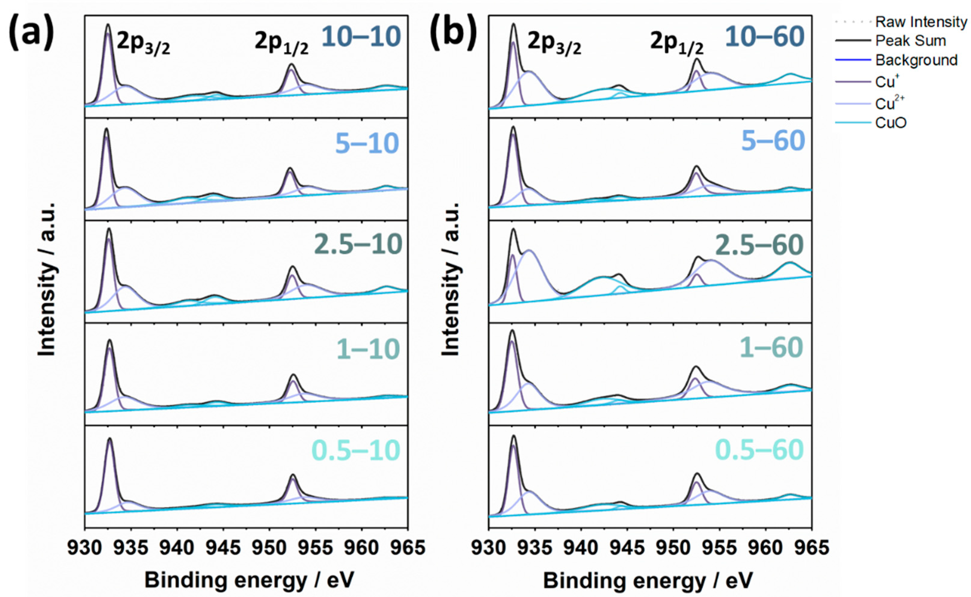 Nanomaterials 11 02317 g005
