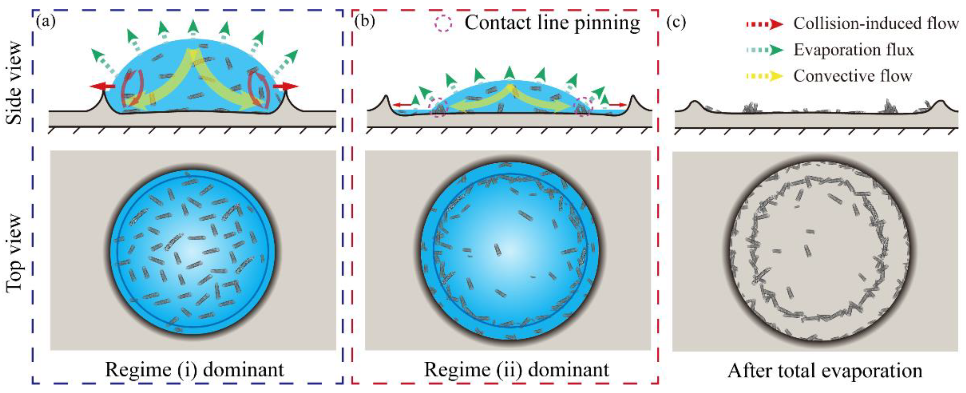 Nanomaterials 11 02335 g005