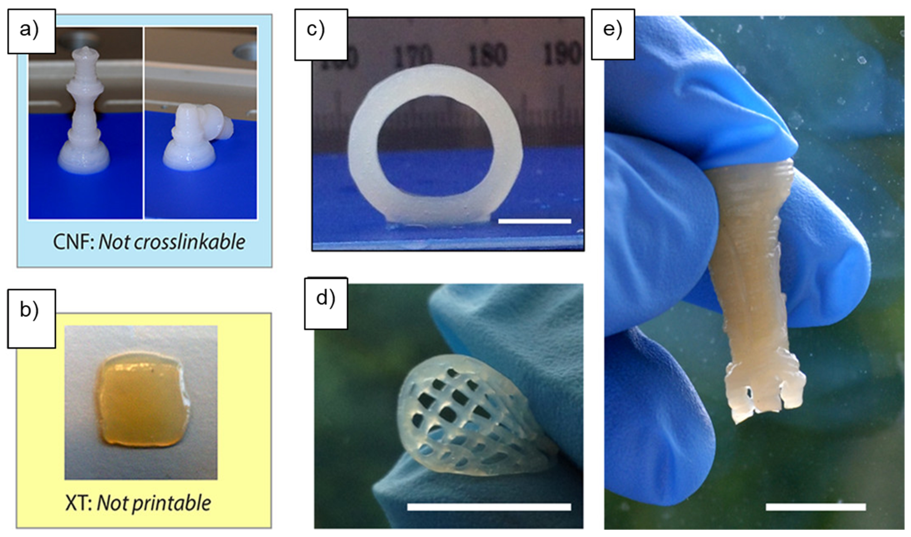 Nanomaterials 11 02358 g003