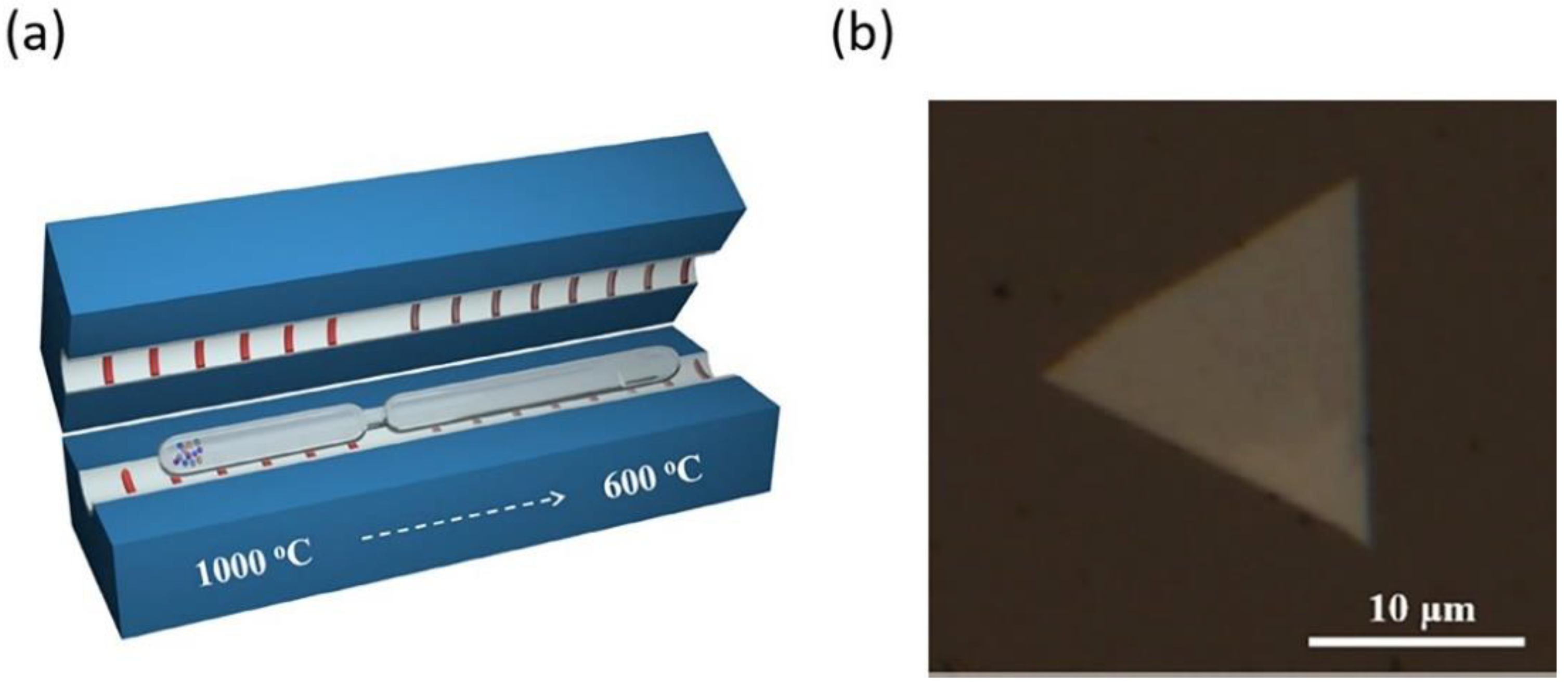 Nanomaterials 11 02367 g010