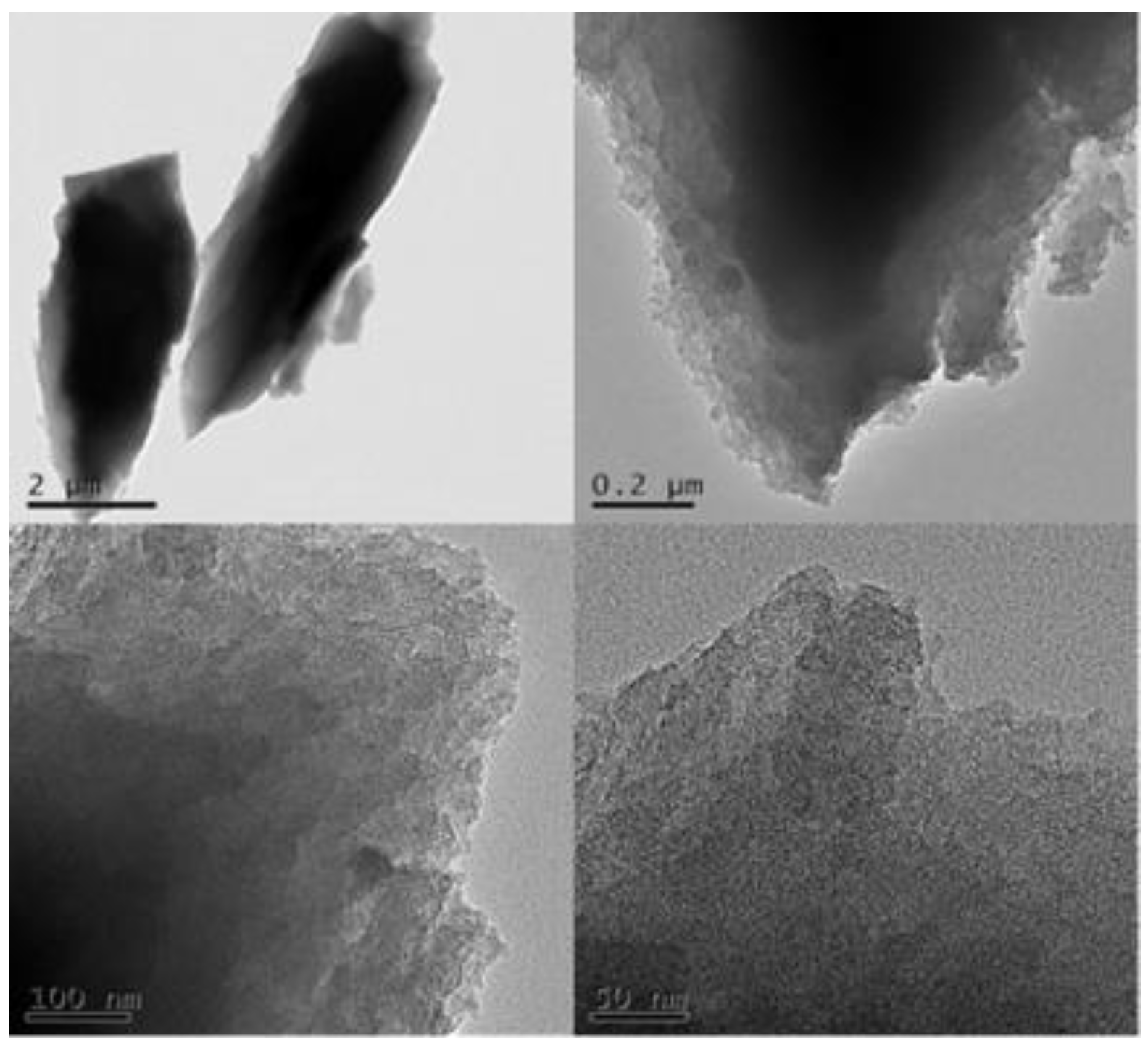 Nanomaterials 11 02369 g002