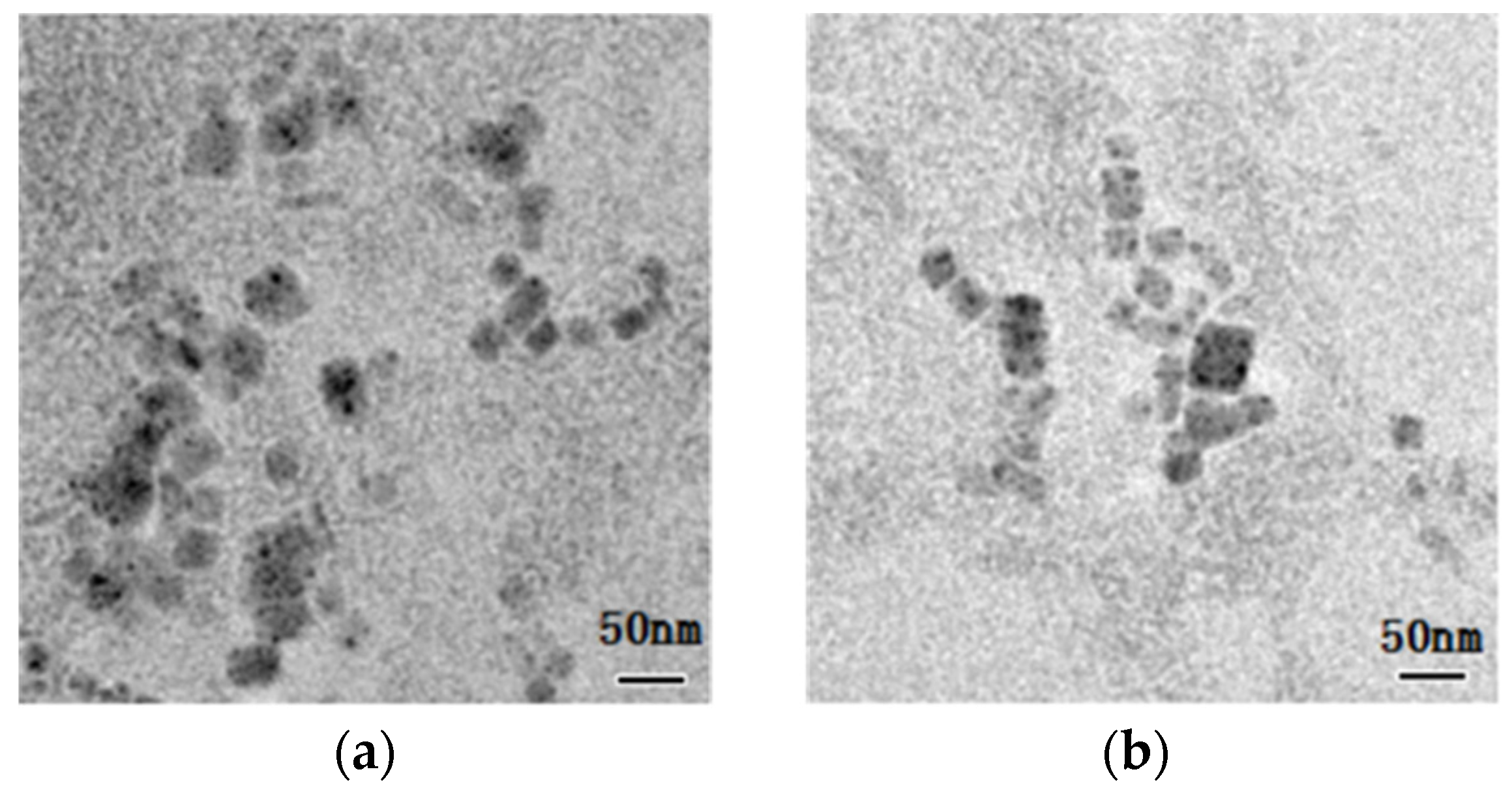 Nanomaterials 11 02390 g002