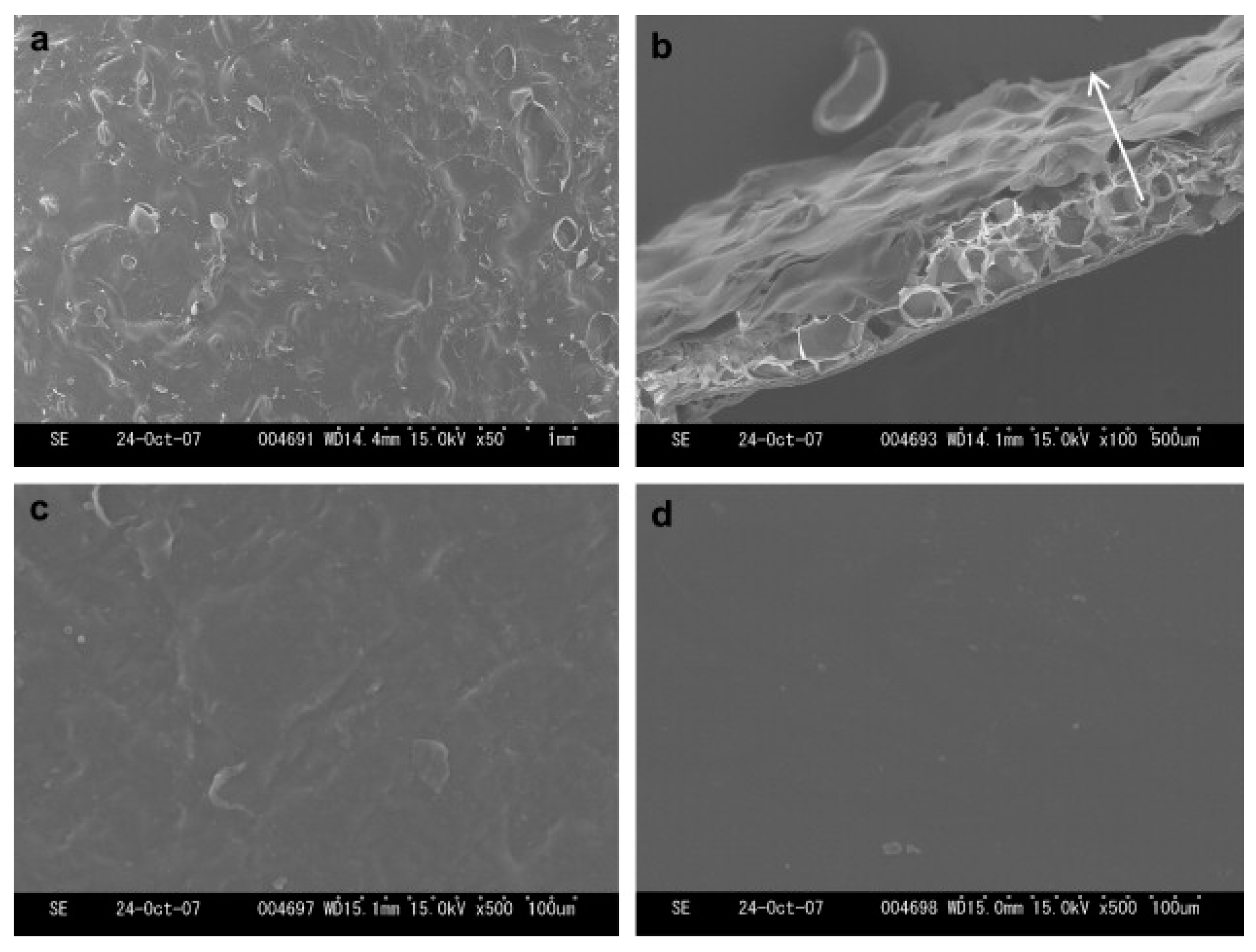 Nanomaterials 11 02401 g005