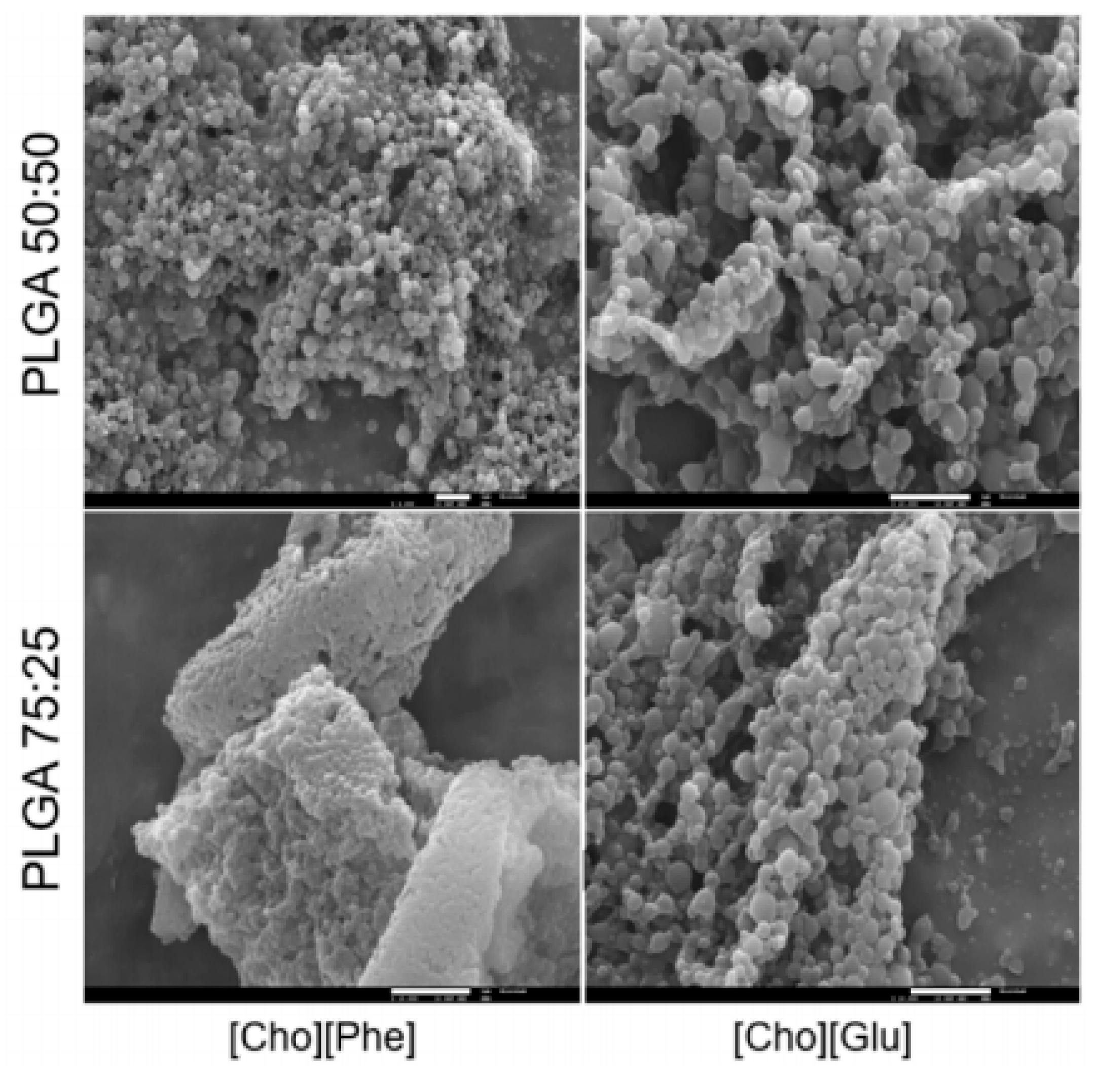 Nanomaterials 11 02401 g006