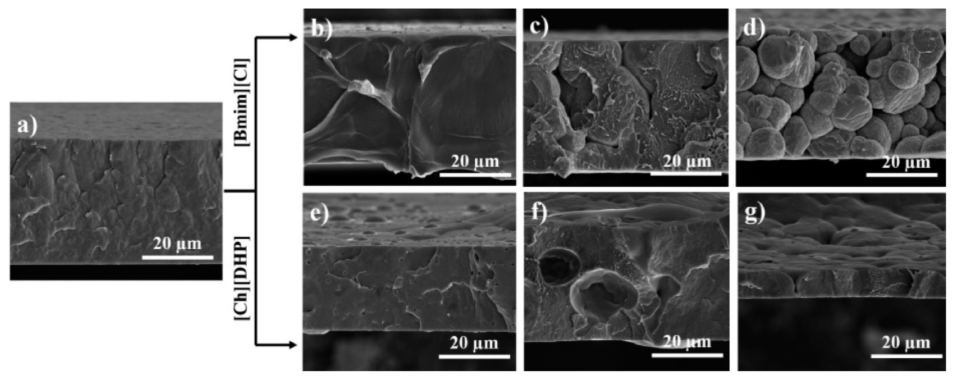 Nanomaterials 11 02401 g007